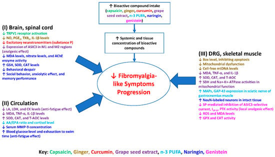 Muscle Pain or Fibromyalgia symptoms & prevention