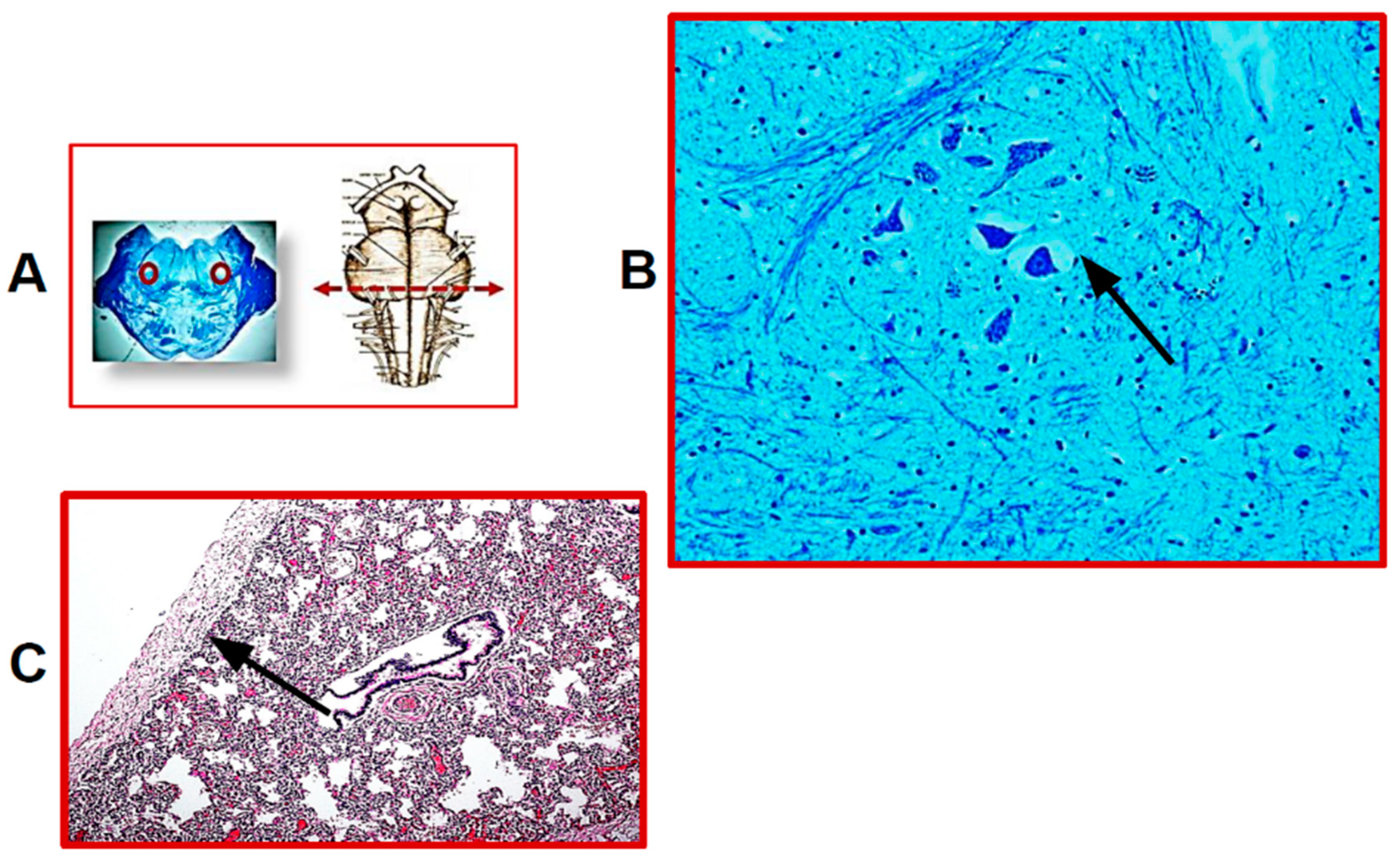 Ijerph 19 04164 g001 Ijerph 19 04164 g001