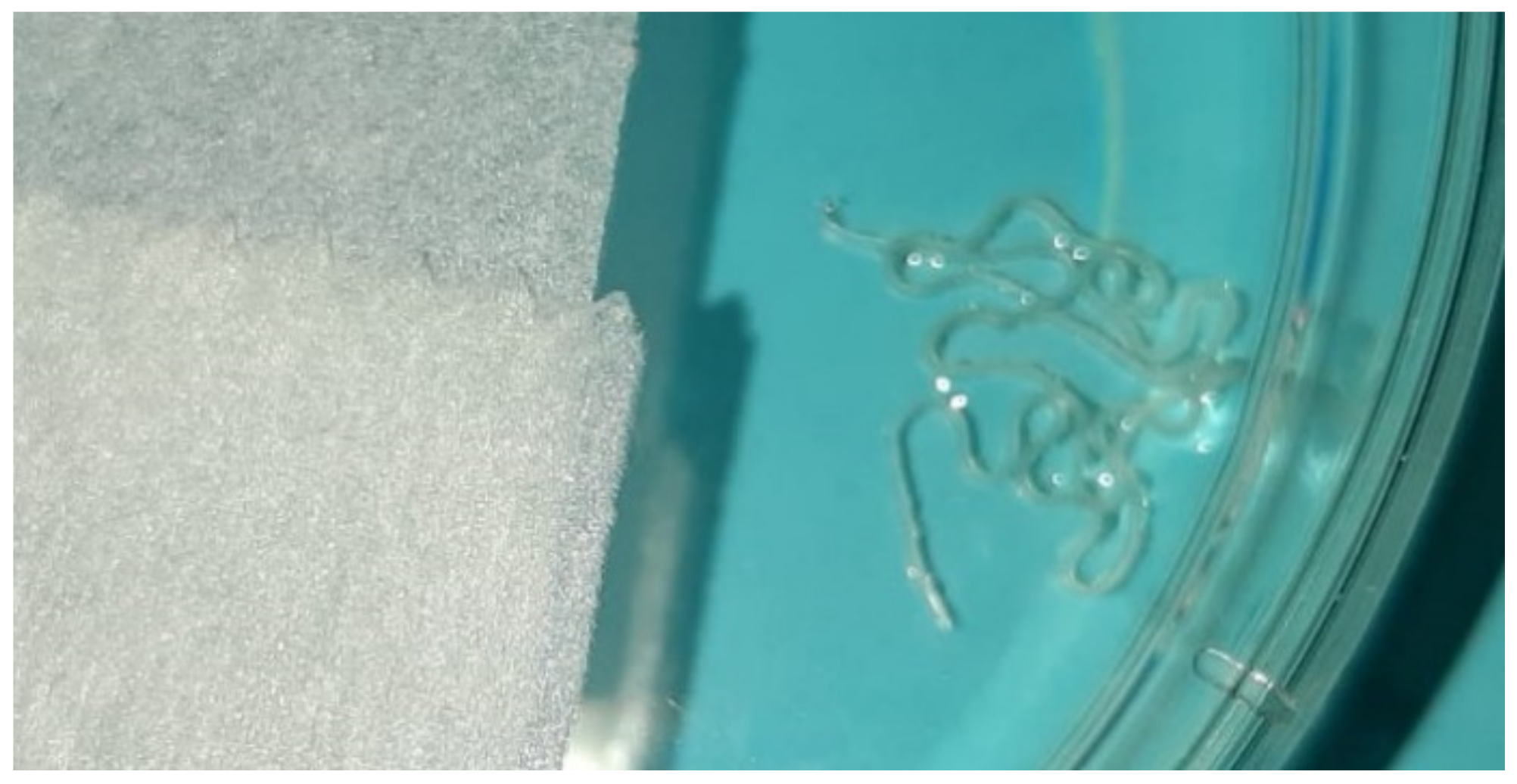 Ijerph 19 04330 g002