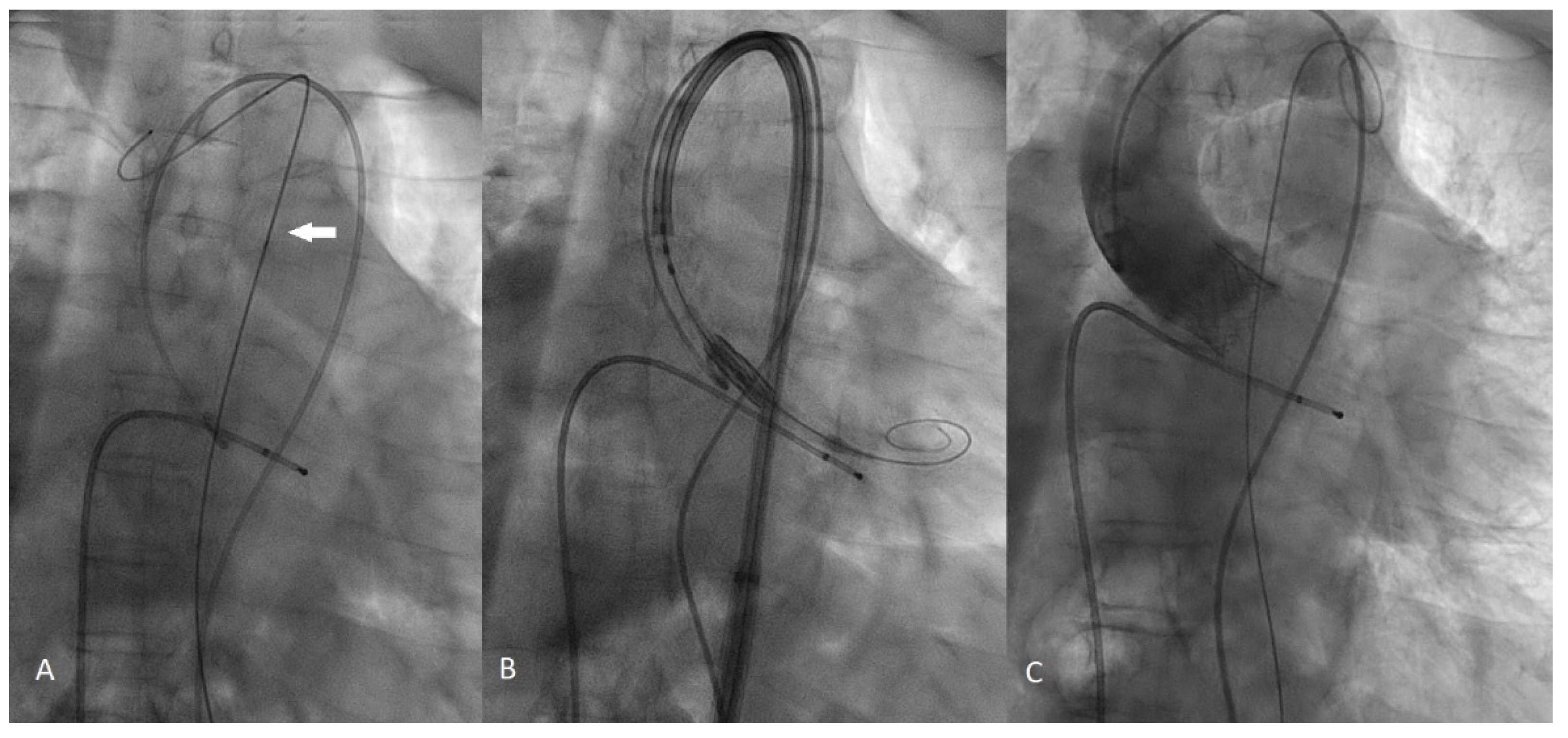 Ijerph 19 04763 g002