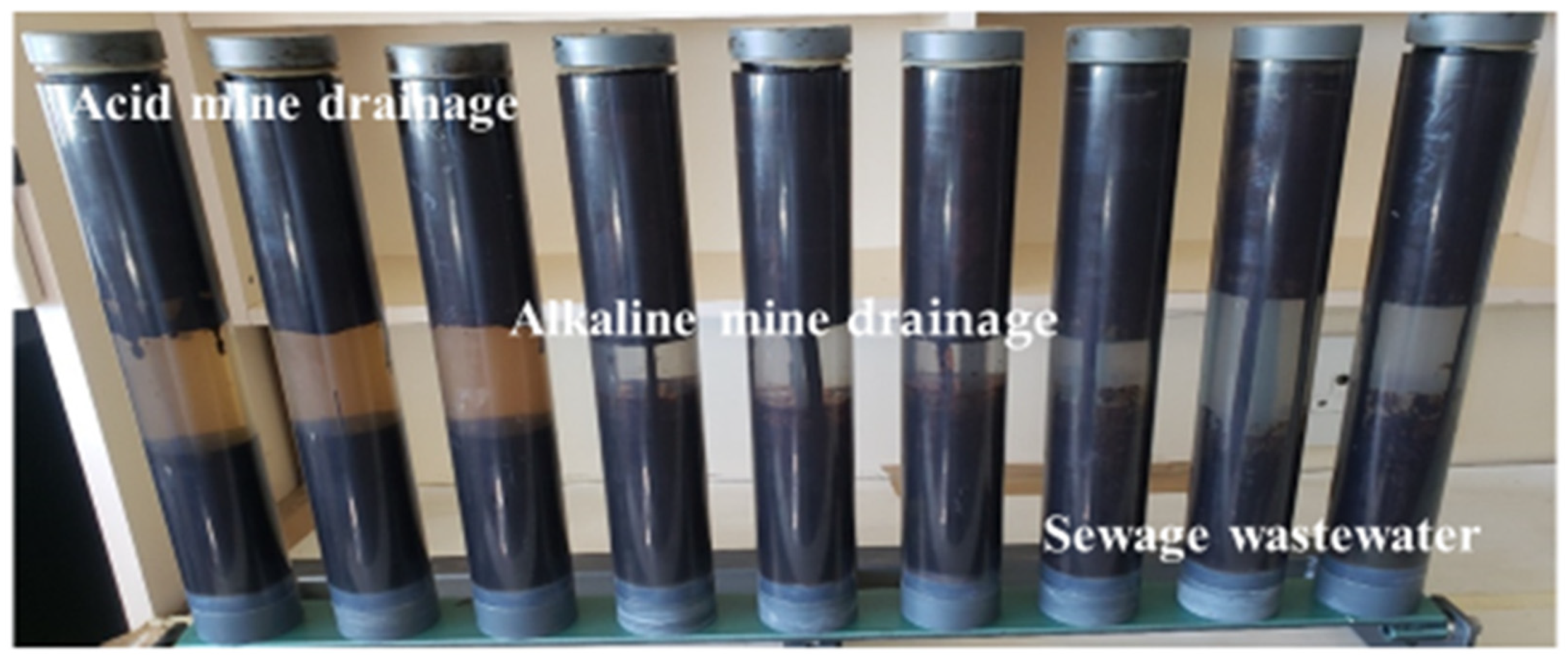 Ijerph 19 04791 g002