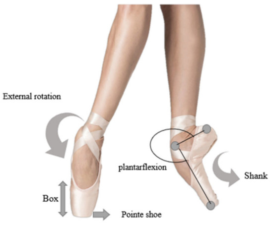 IJERPH | Free Full-Text | Biomechanical Risks Associated with Foot and  Ankle Injuries in Ballet Dancers: A Systematic Review