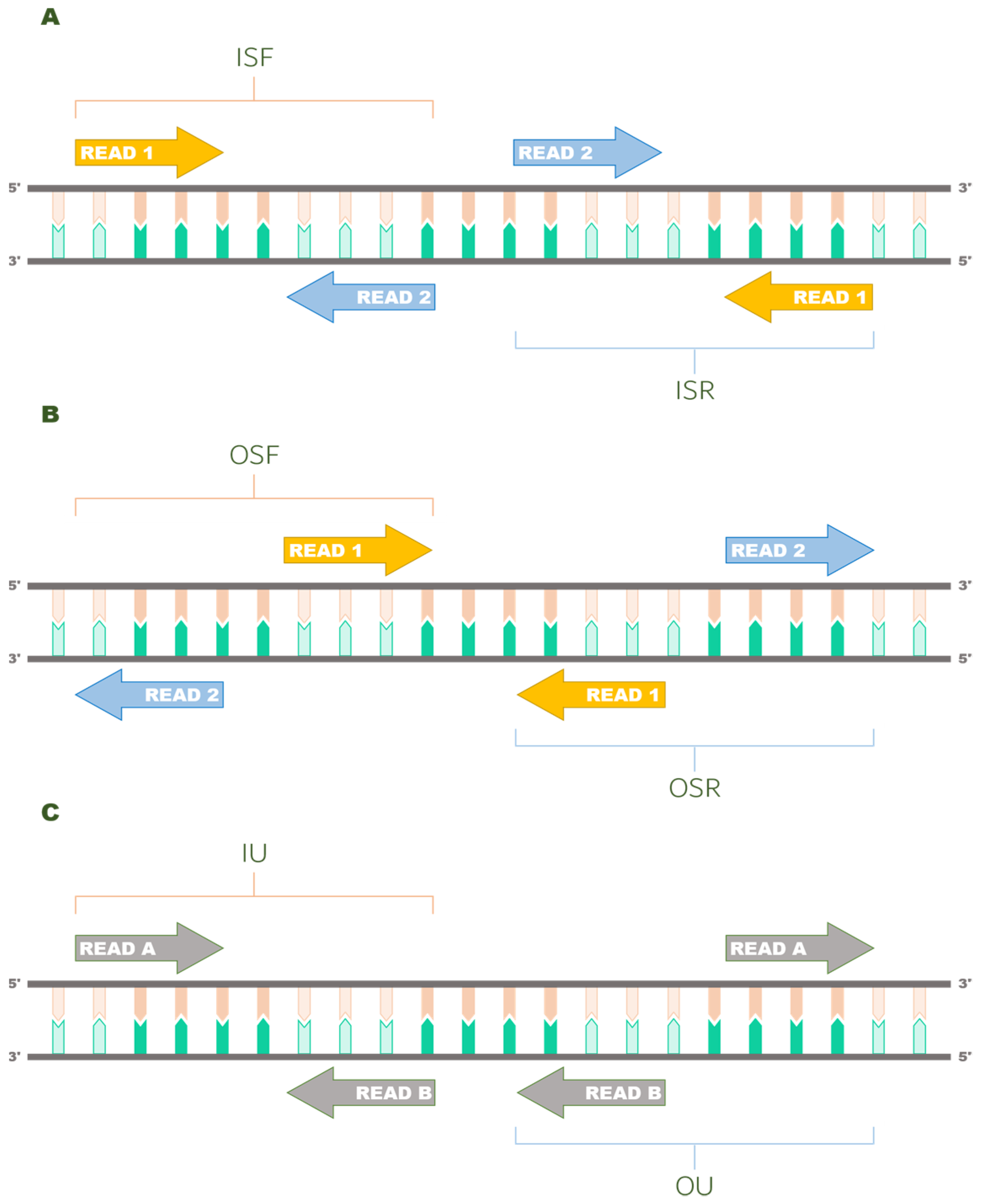 Ijerph 19 05442 g001