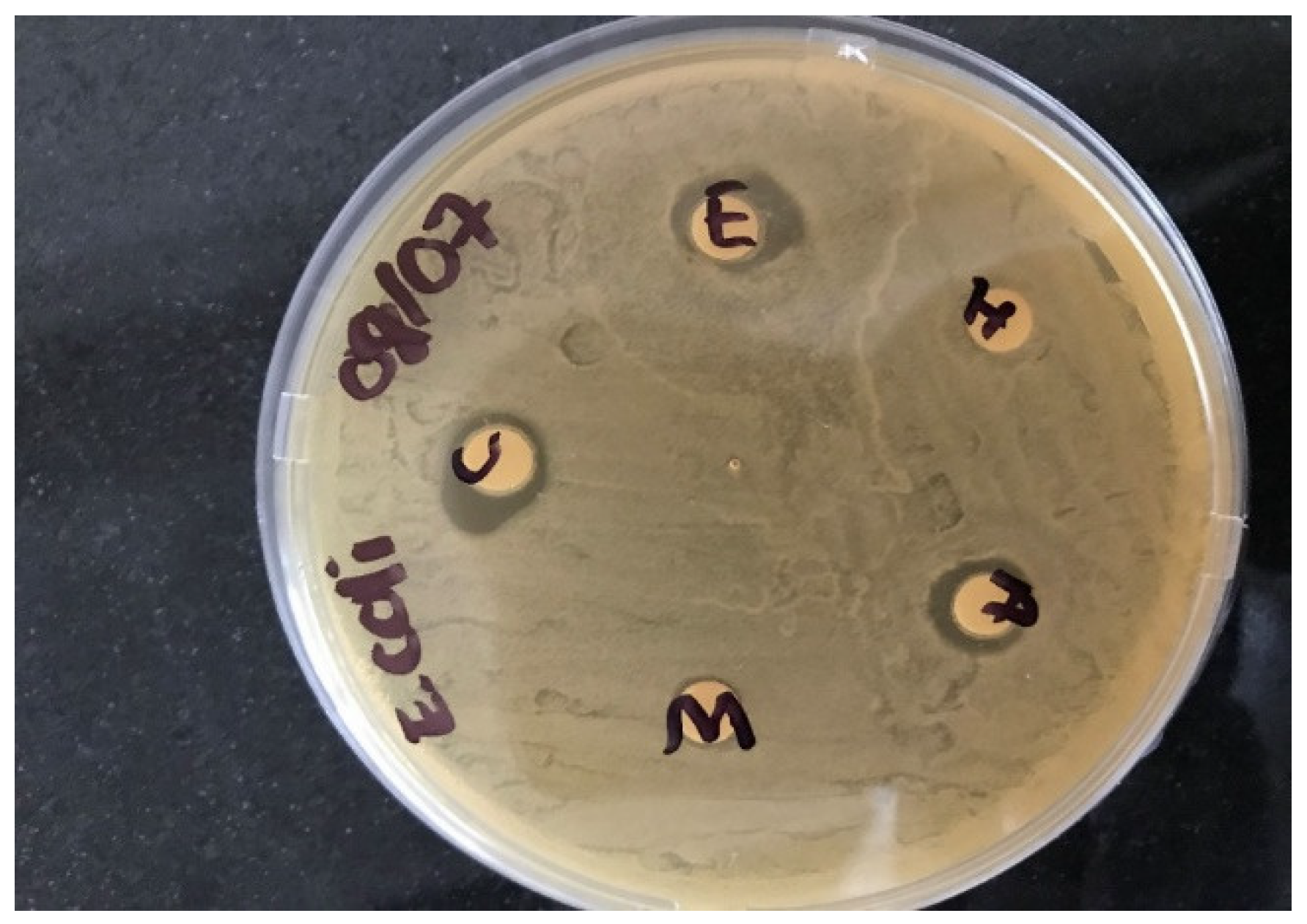 Ijerph 19 05462 g002