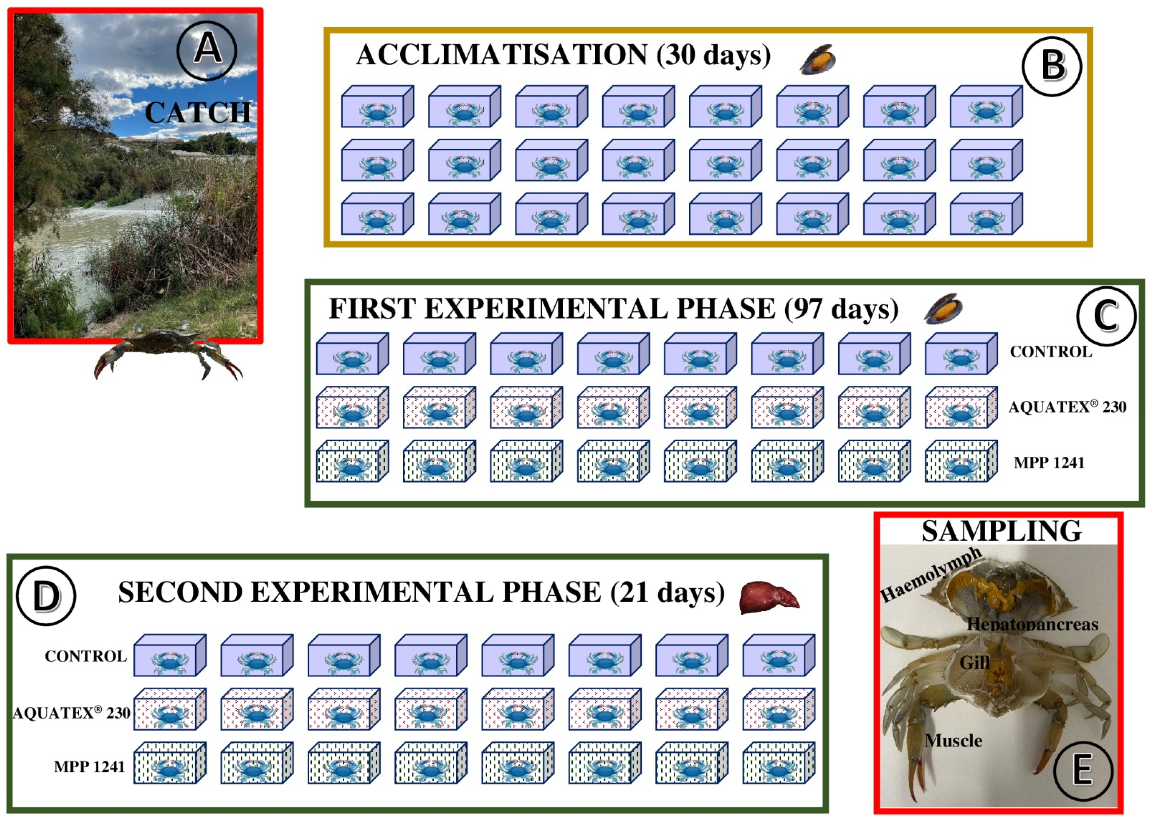 Ijerph 19 05631 g002