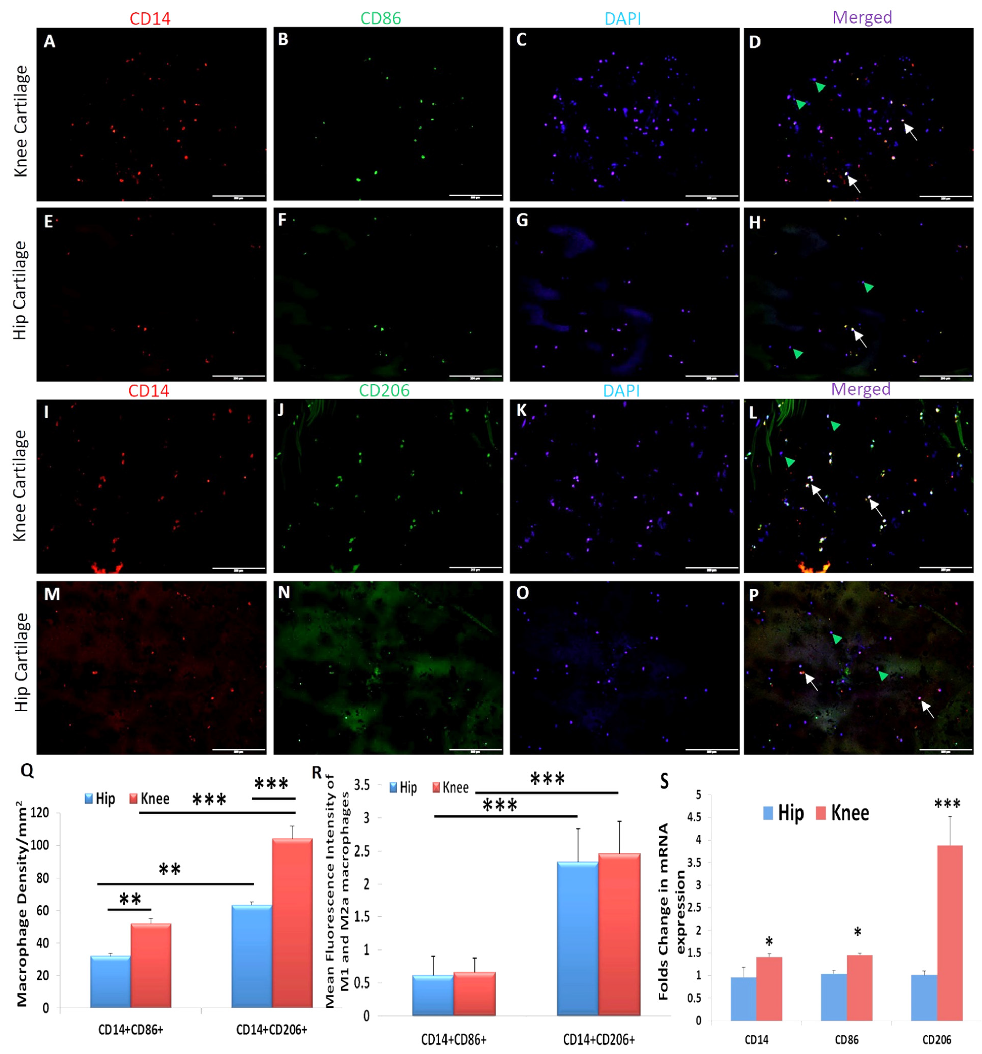 Ijerph 19 05690 g006