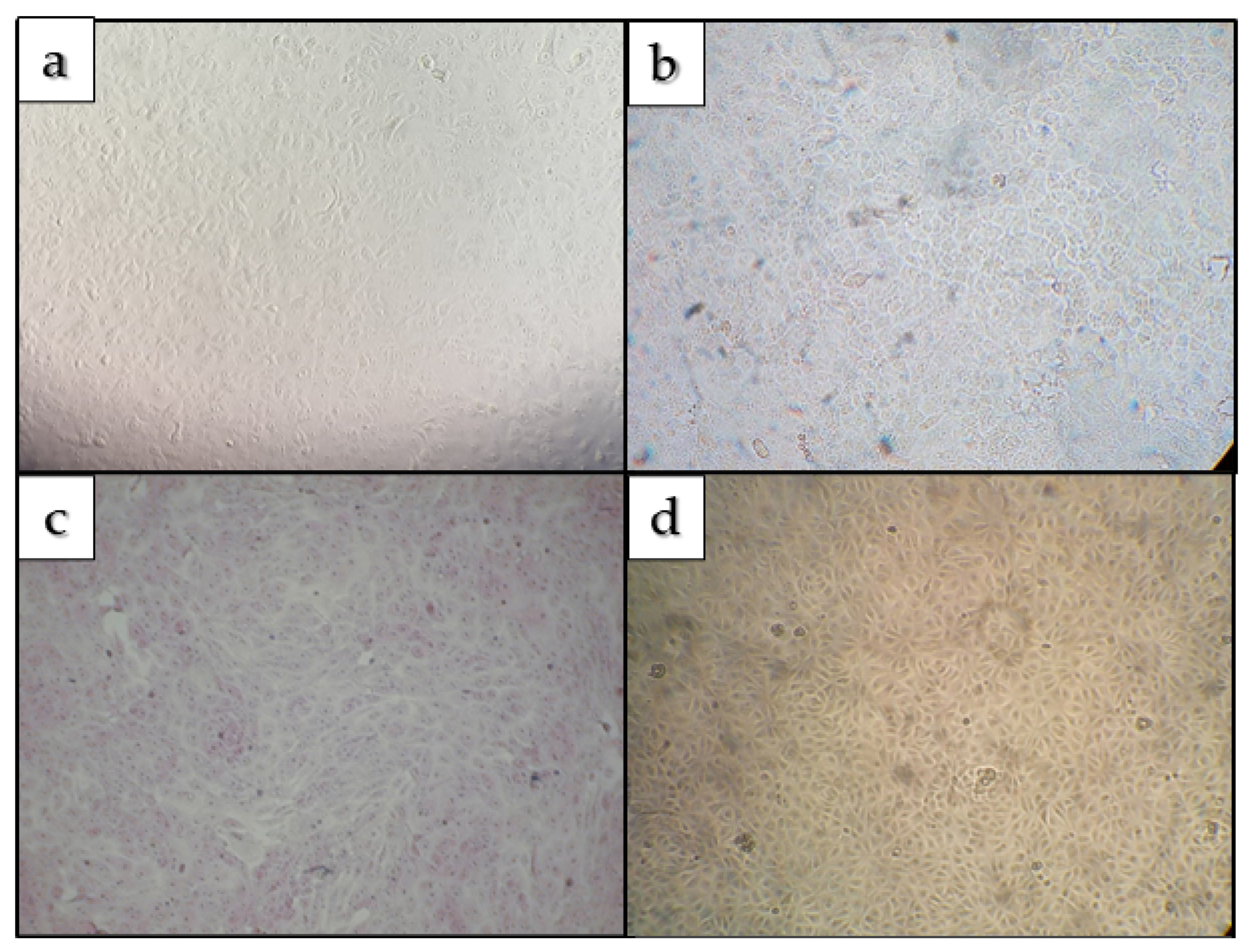 Ijerph 19 05923 g003