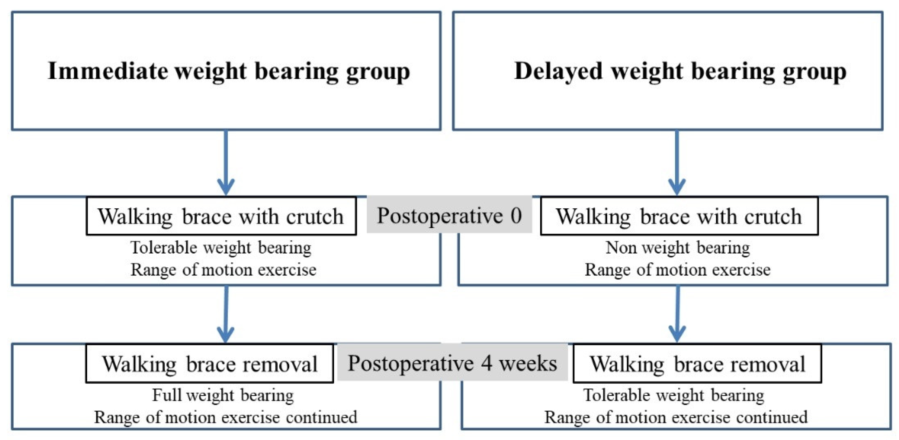 Weight-bearing or non-weight-bearing after surgical treatment of ankle  fractures: a multicenter randomized controlled trial