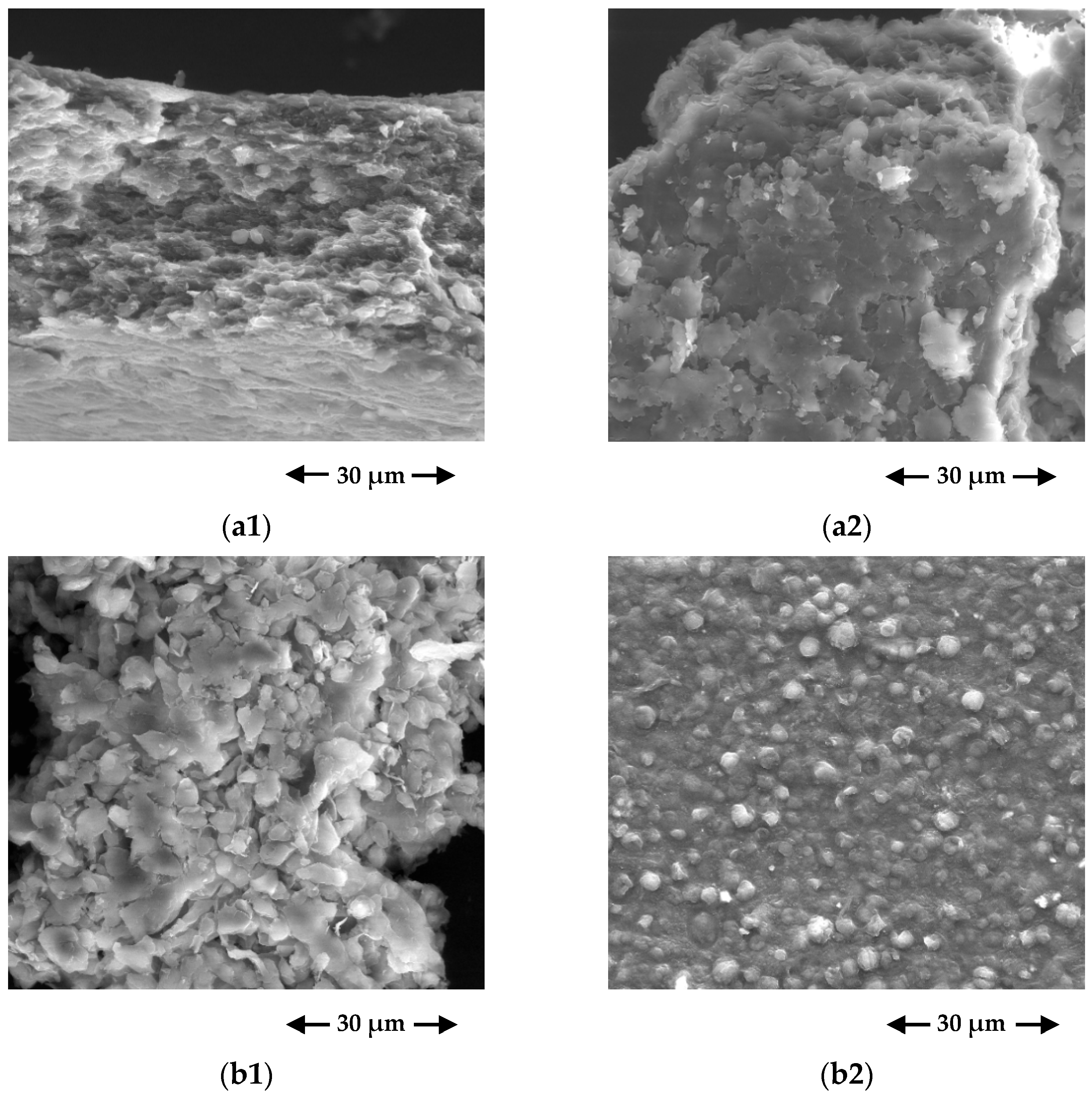 Ijerph 19 06081 g002