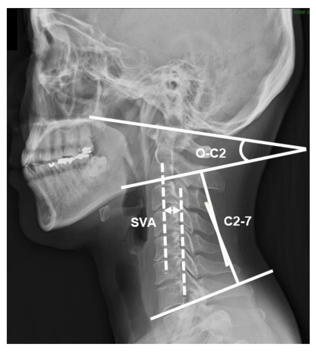 Ijerph 19 06278 g002