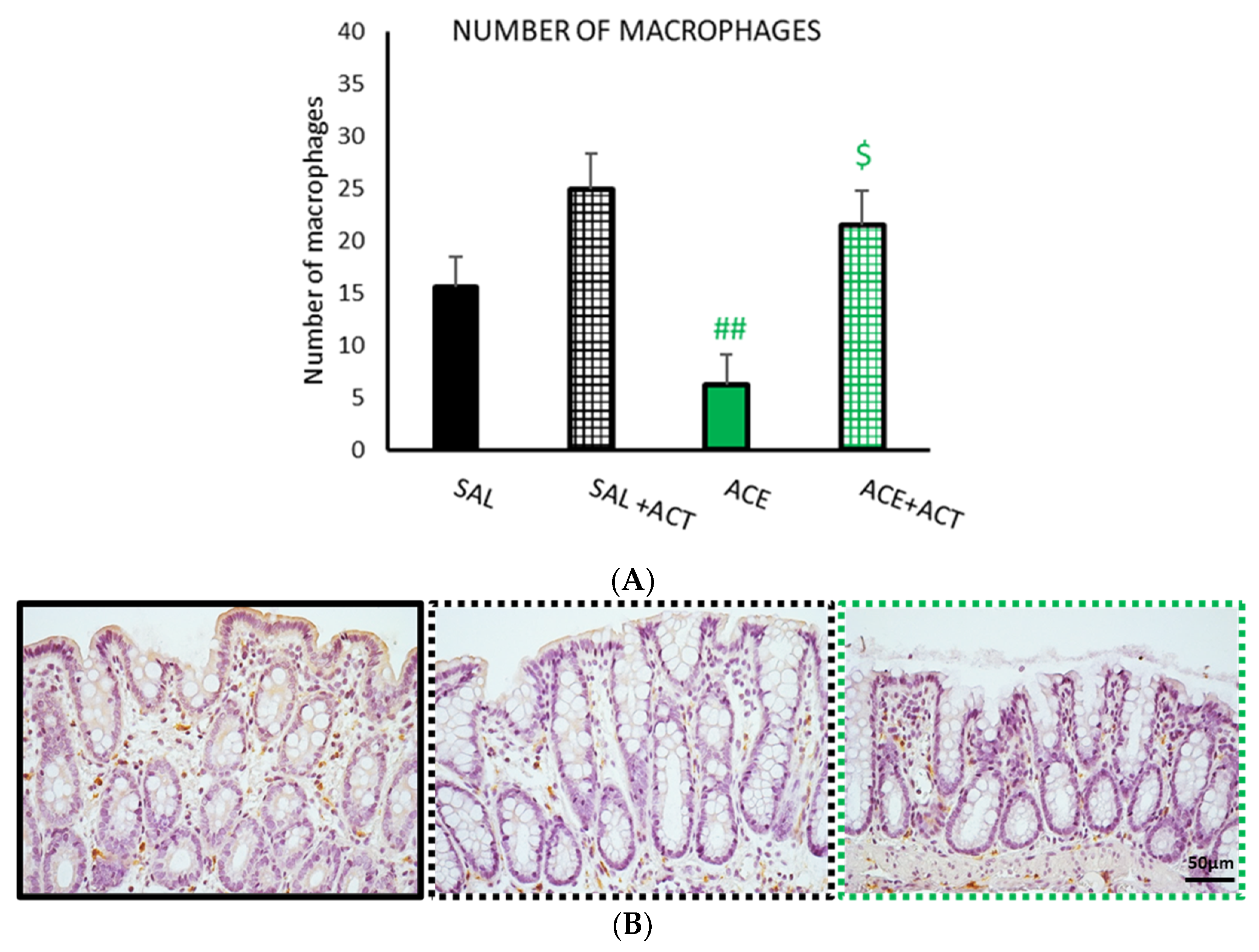 Ijerph 19 06485 g010