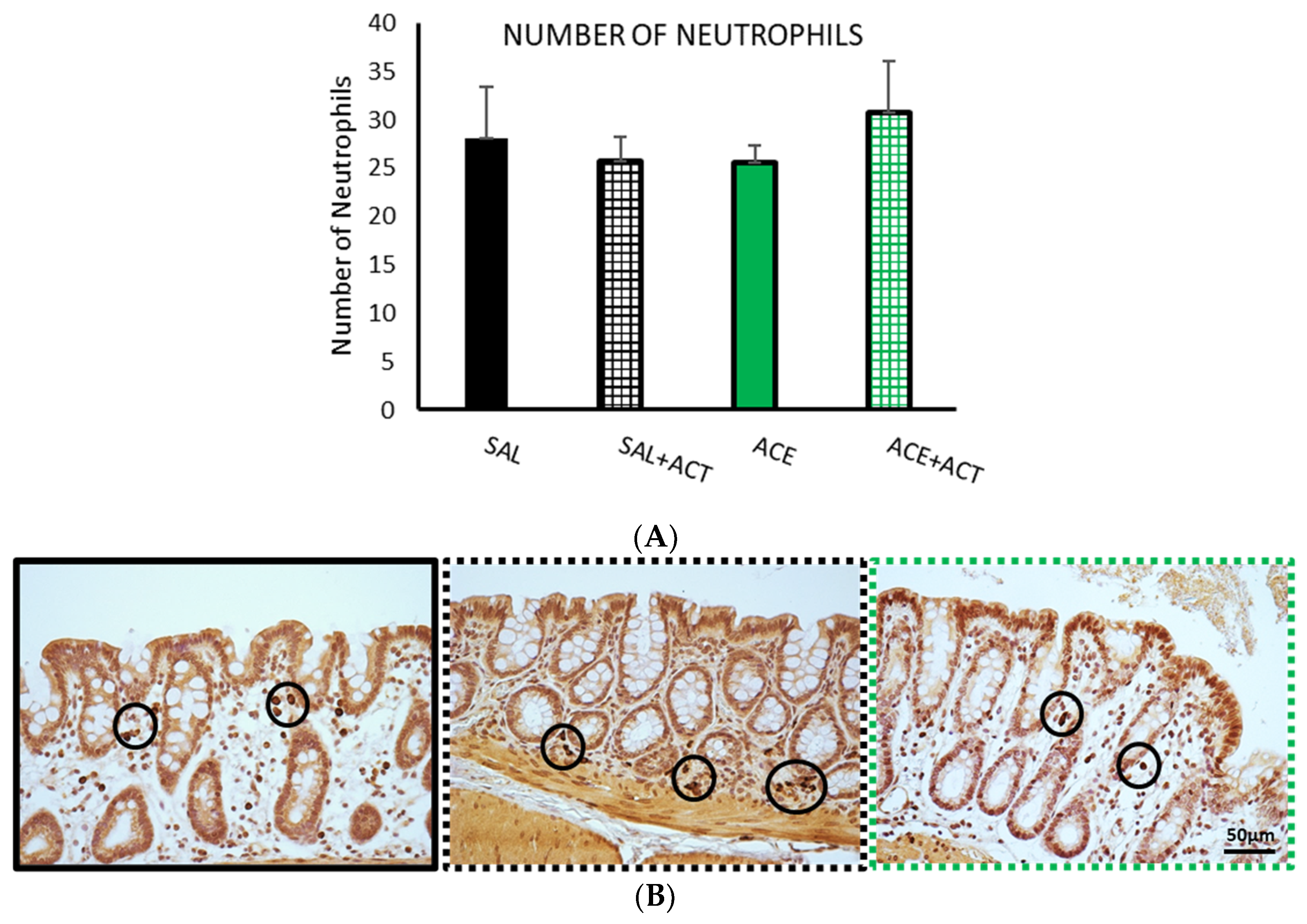 Ijerph 19 06485 g011