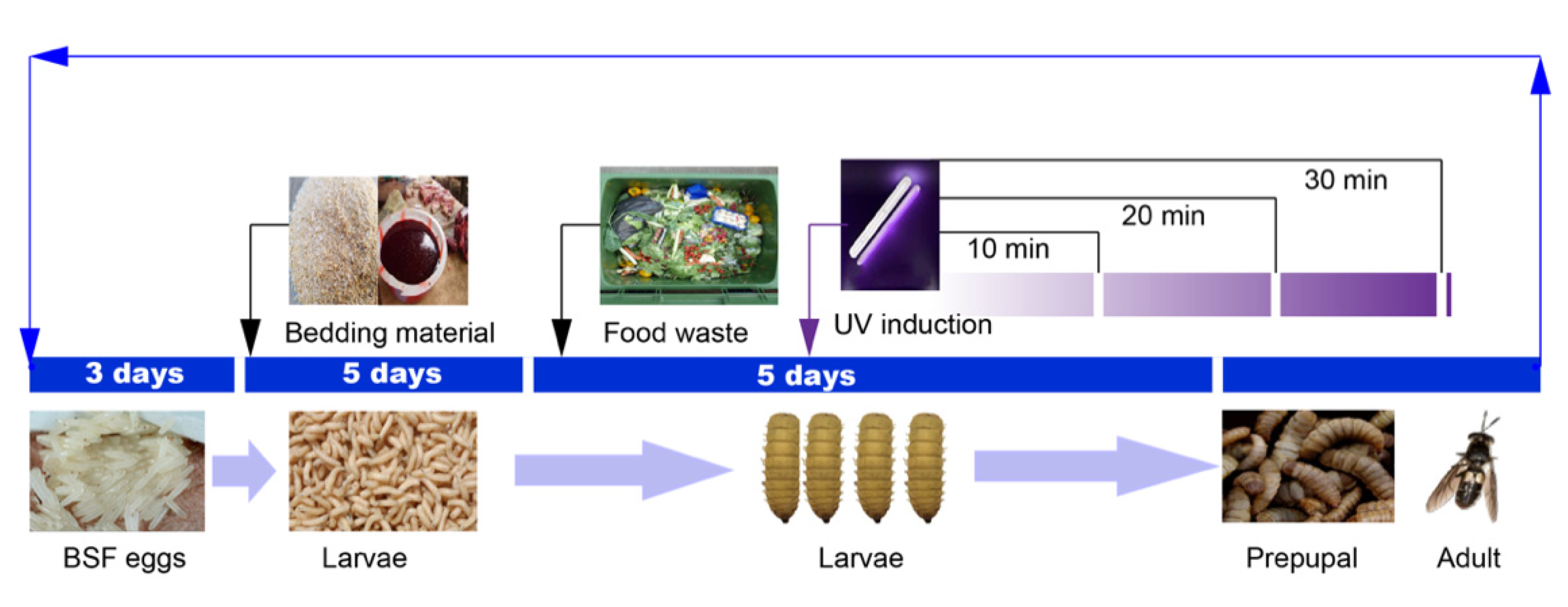 Ijerph 19 06614 g006