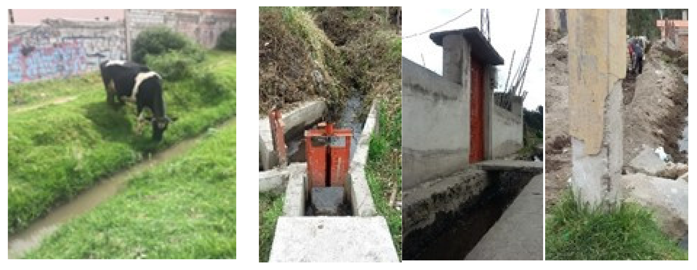 Ijerph 19 06901 g003