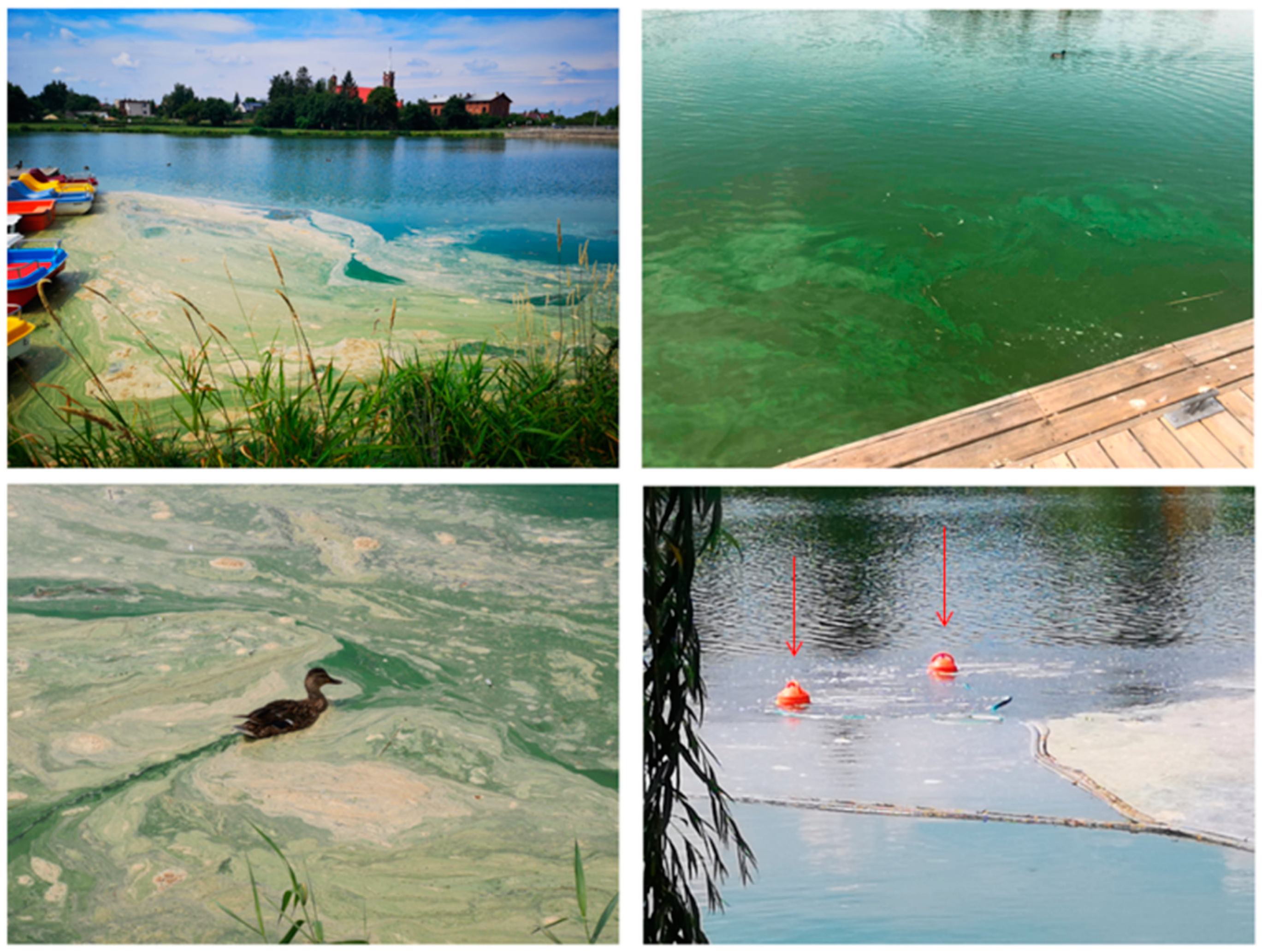 Ijerph 19 06990 g005