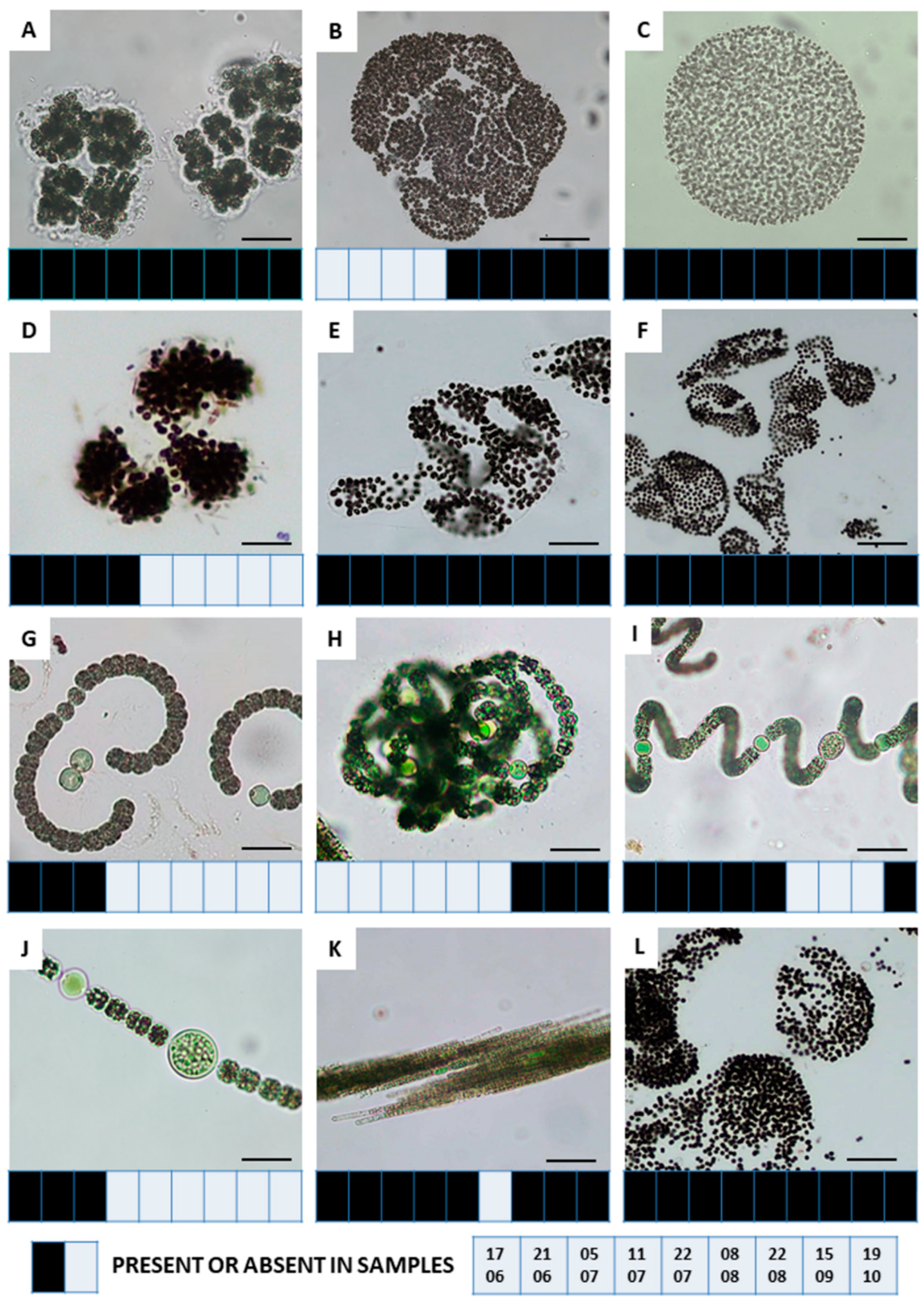 Ijerph 19 06990 g006