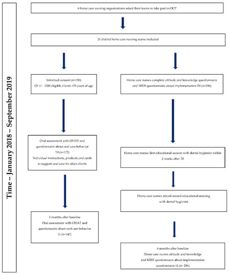 IJERPH | Free Full-Text | Evaluation of an Oral Care Program to Improve ...