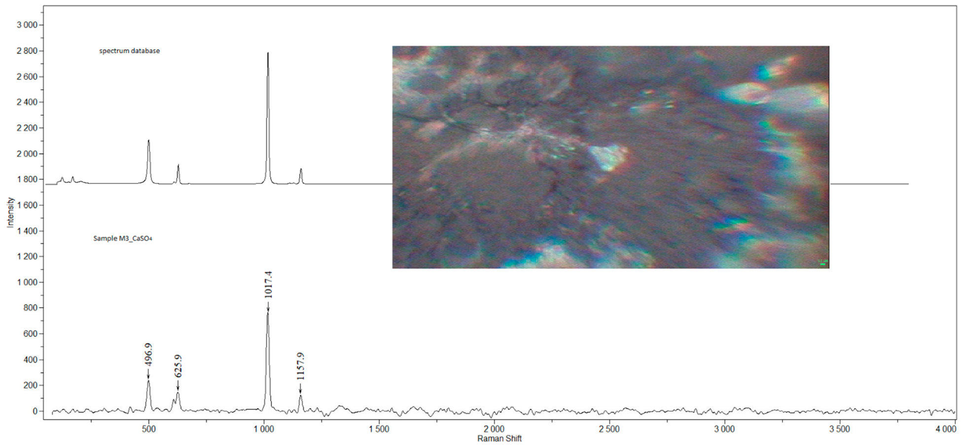 Ijerph 19 07269 g003