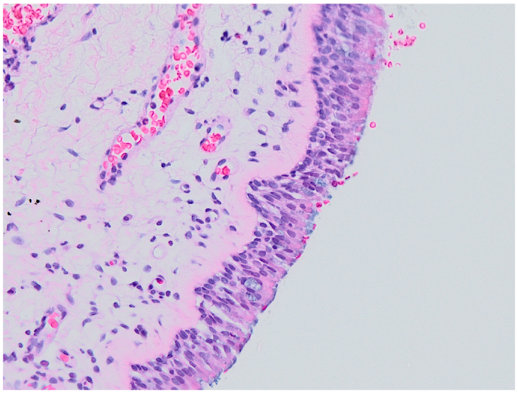 Ijerph 19 07269 g006