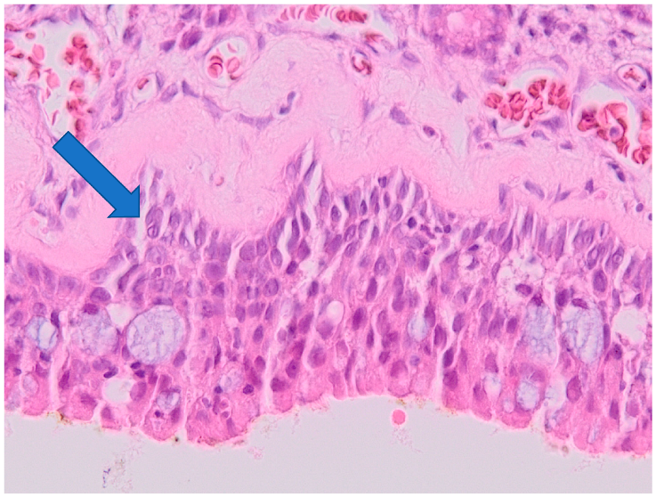 Ijerph 19 07269 g007