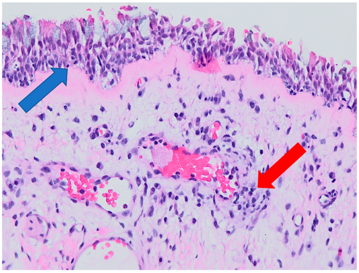 Ijerph 19 07269 g008