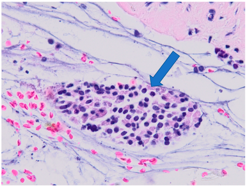 Ijerph 19 07269 g009