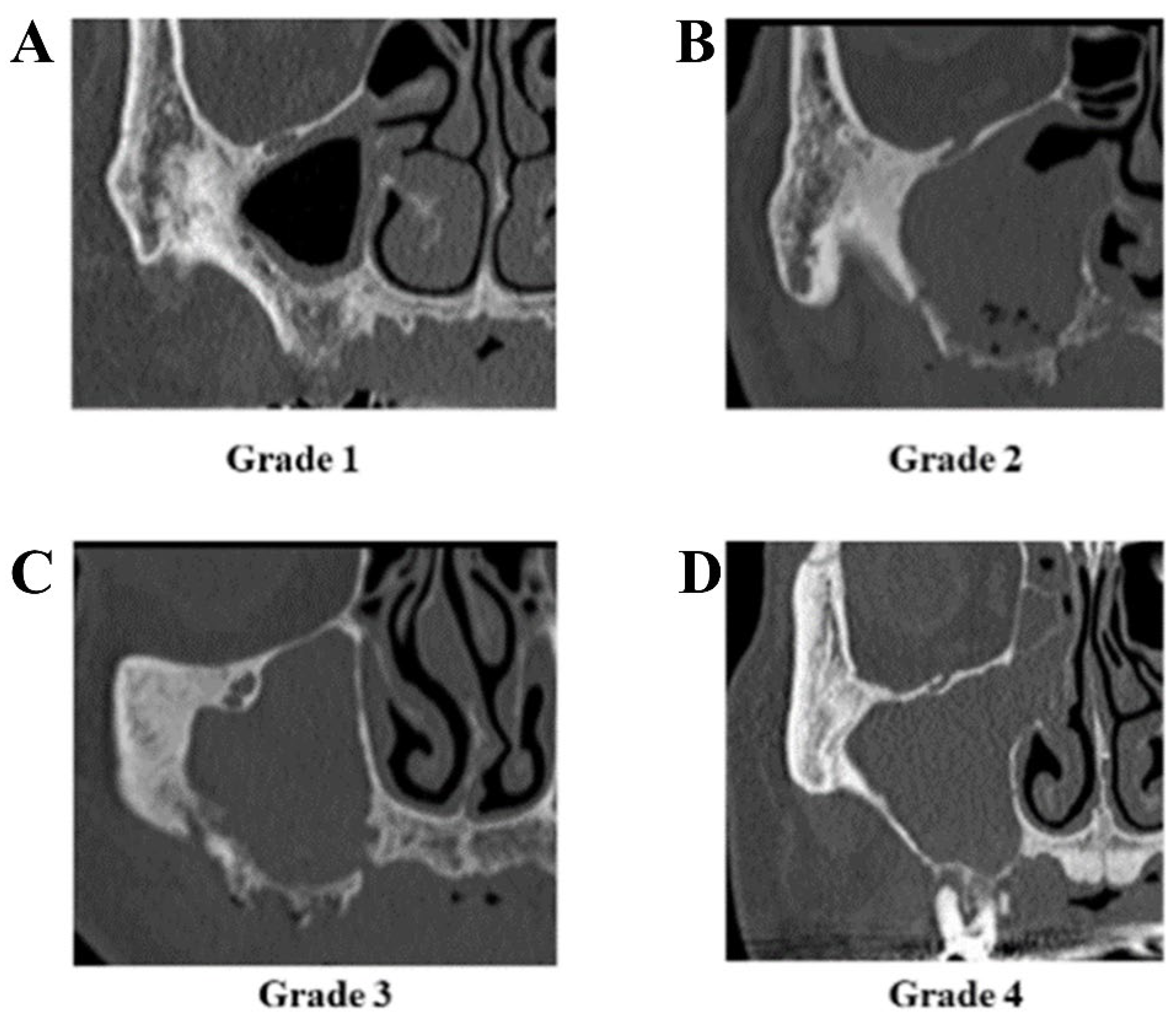Ijerph 19 07430 g001