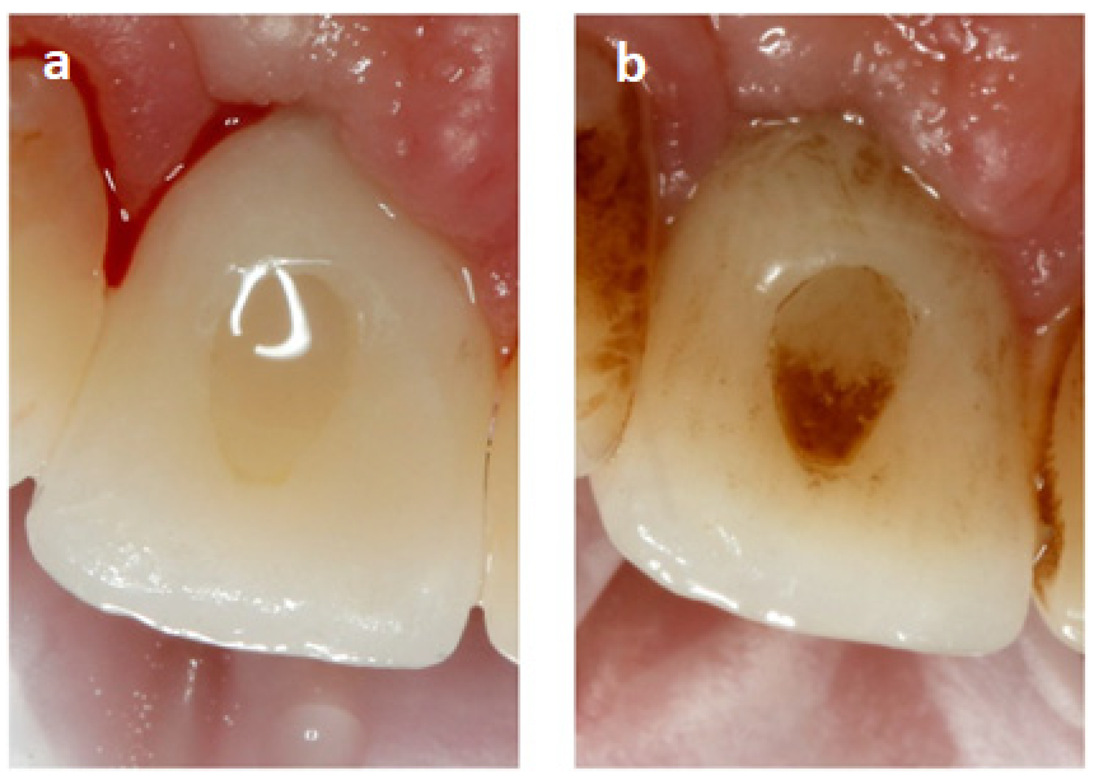 Ijerph 19 07494 g001 Ijerph 19 07494 g001
