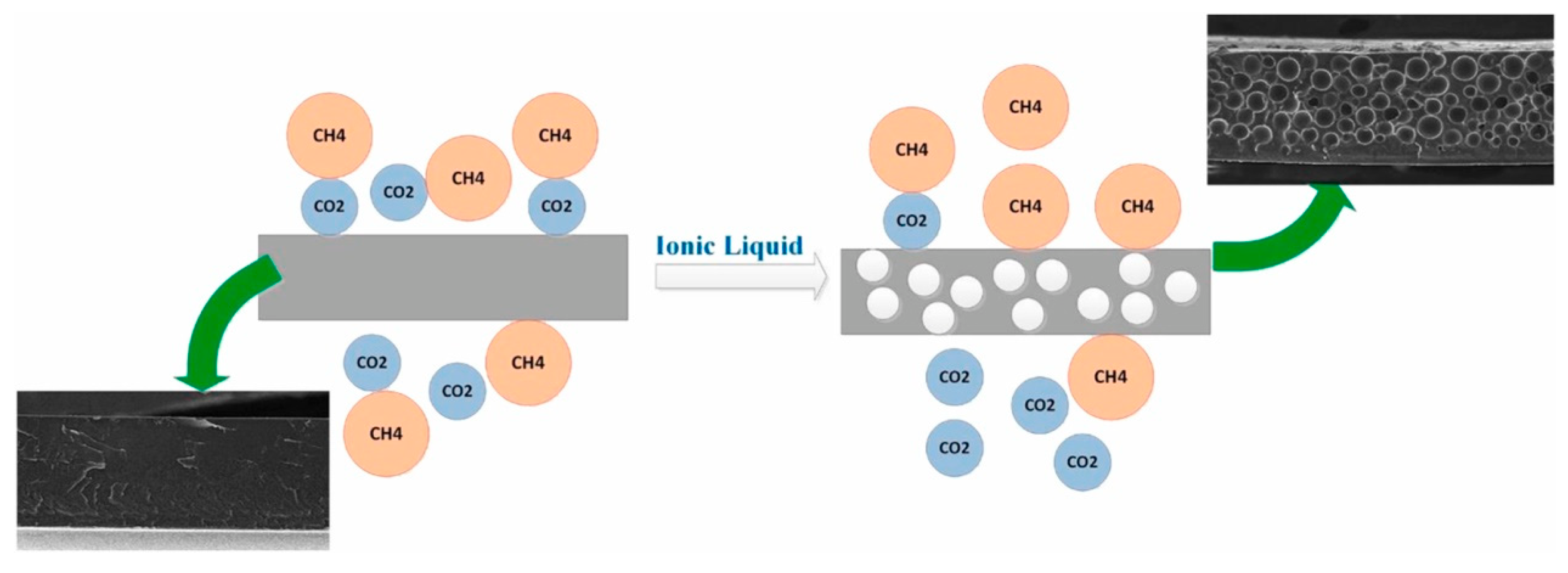 Ijerph 19 07584 g005