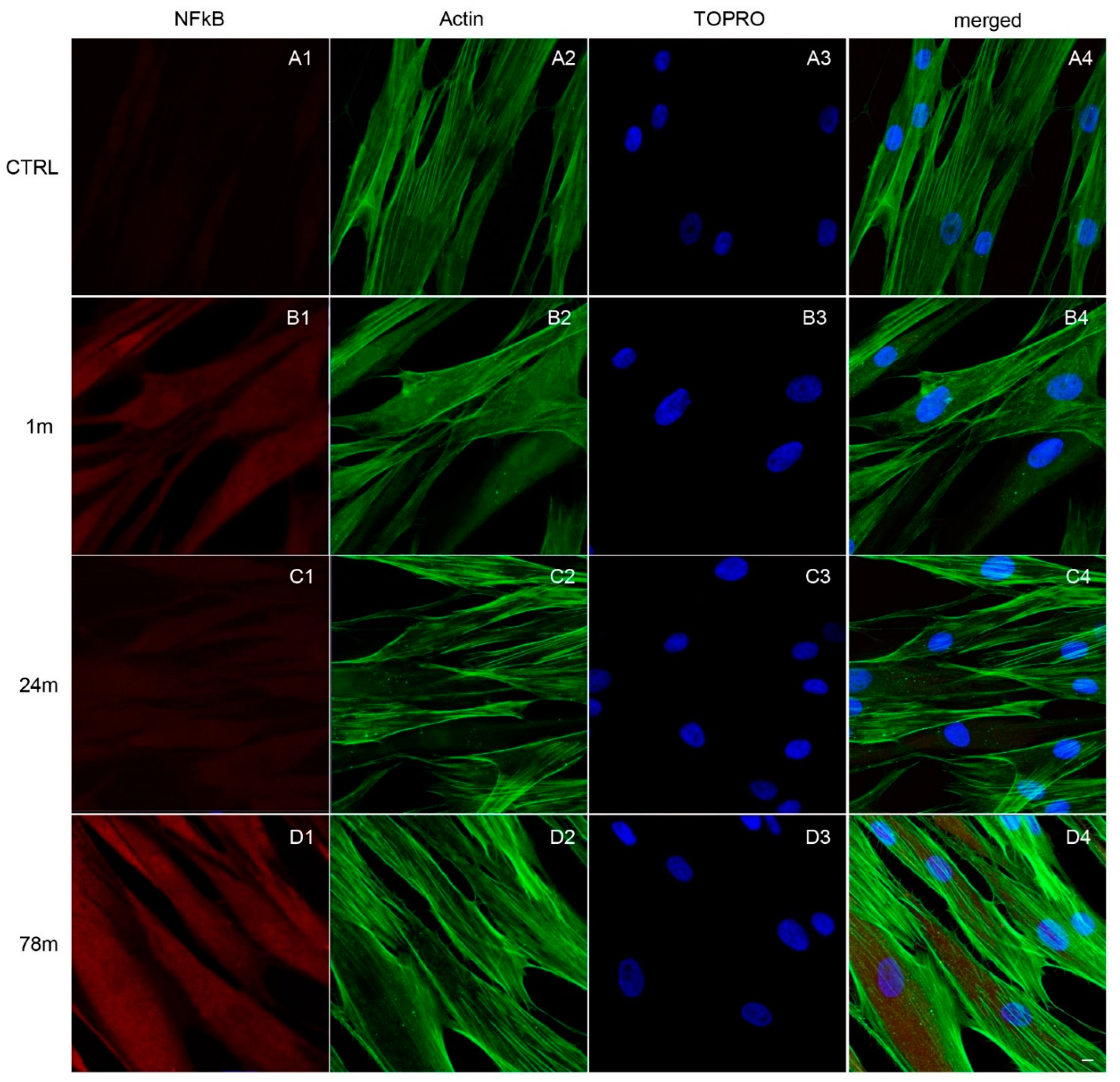 Ijerph 19 07782 g004