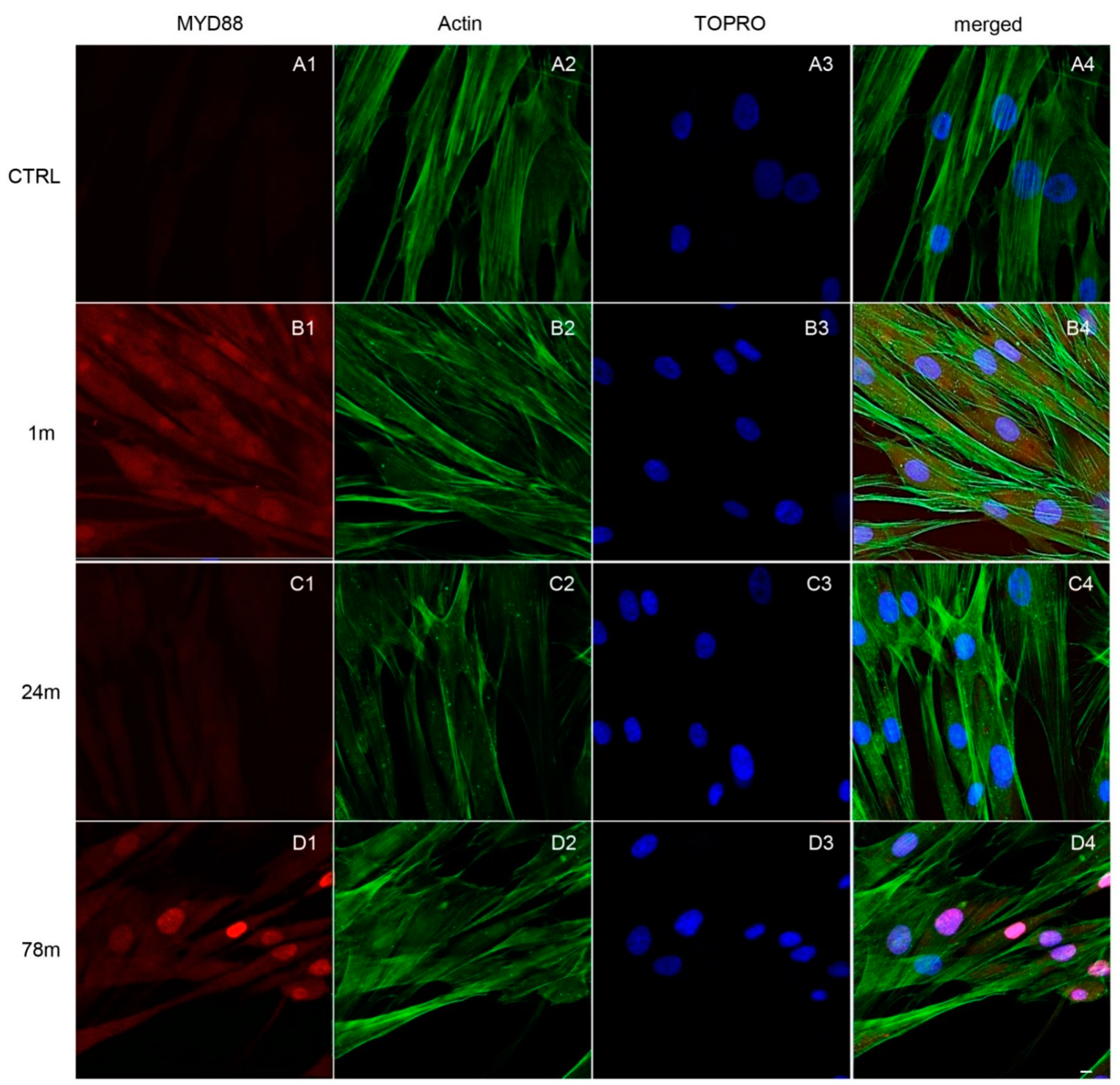 Ijerph 19 07782 g005