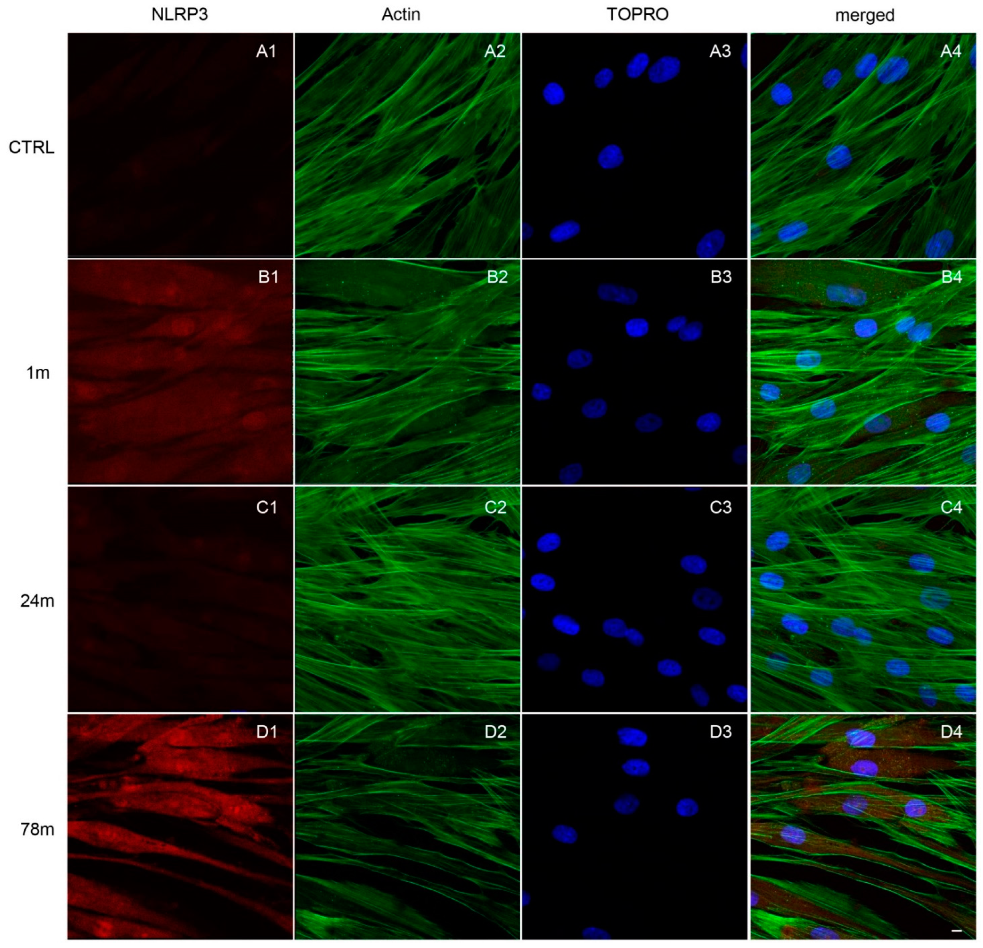 Ijerph 19 07782 g006