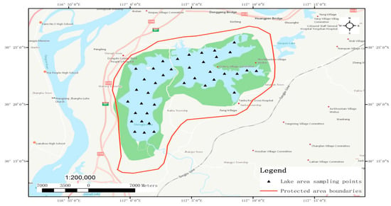 Olin Lake Fishing Map