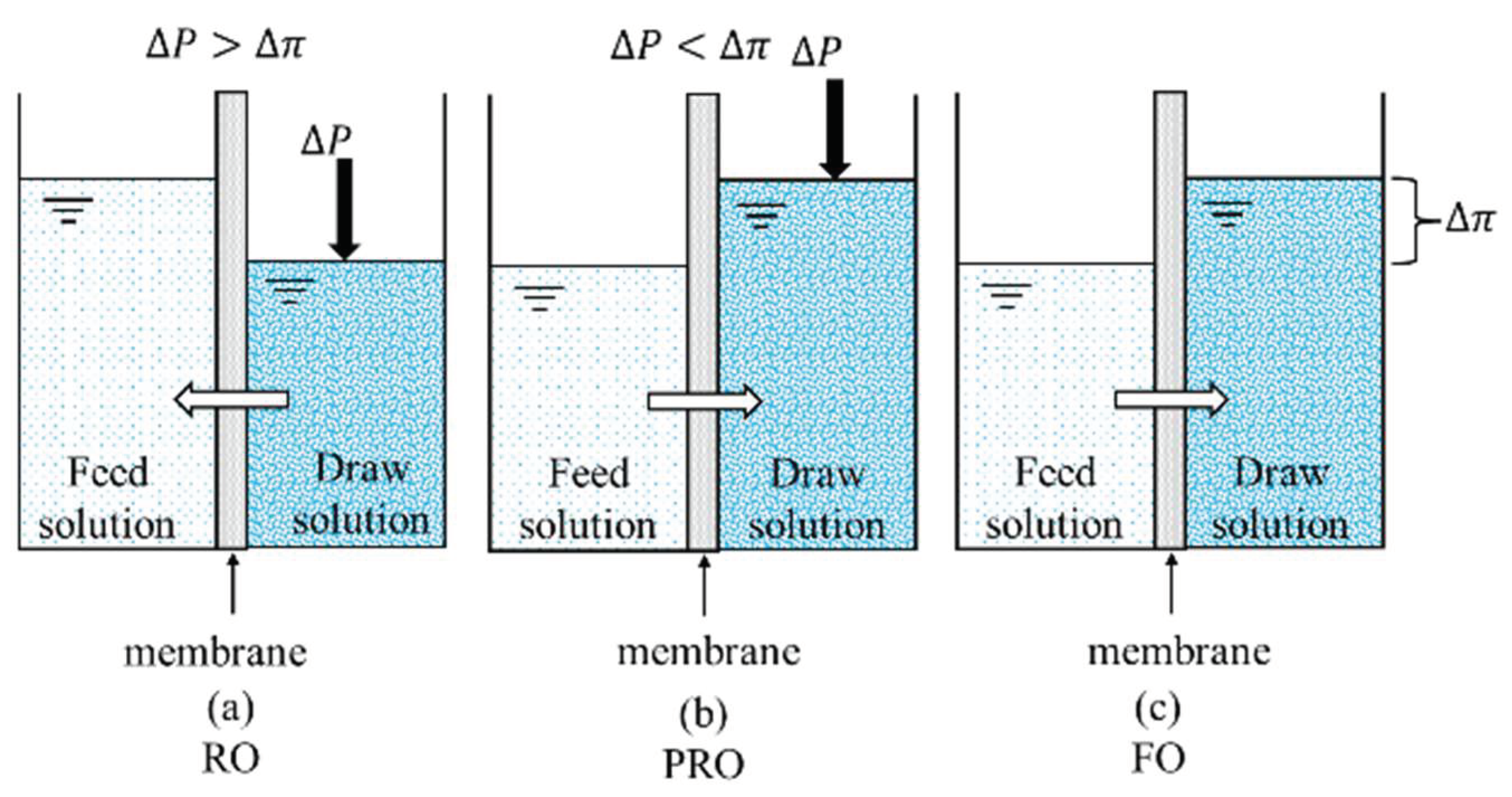 Ijerph 19 08215 g001