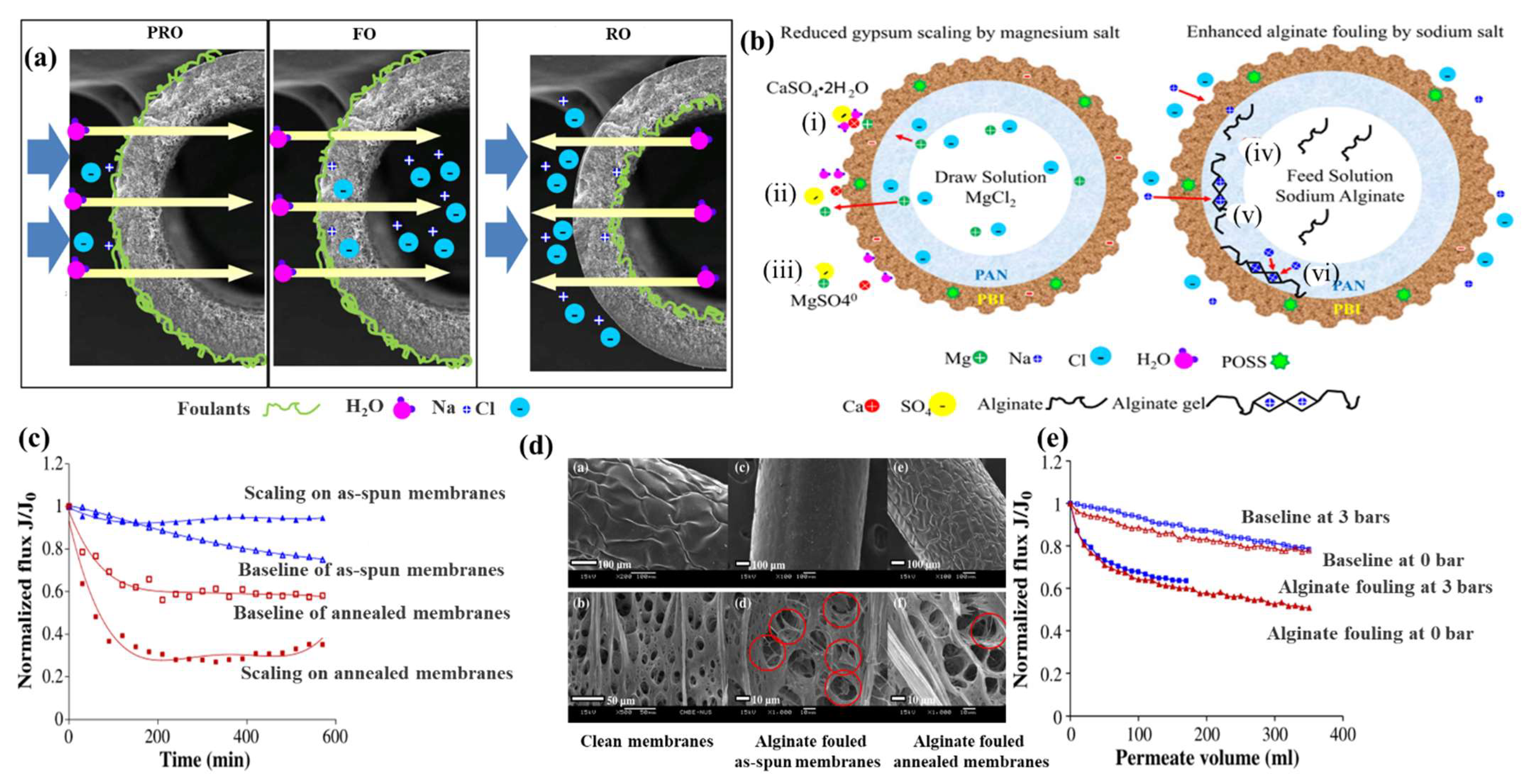 Ijerph 19 08215 g020