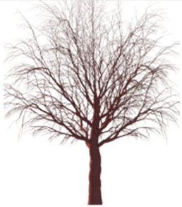 Ijerph 19 08220 i002