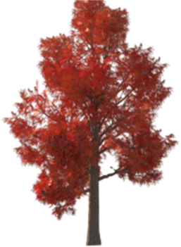 Ijerph 19 08220 i004