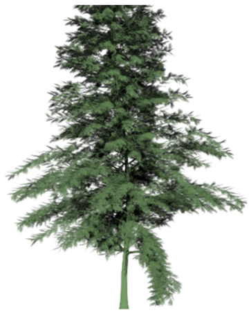 Ijerph 19 08220 i006