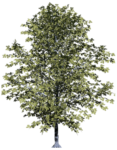 Ijerph 19 08220 i007