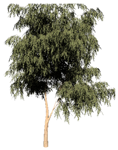 Ijerph 19 08220 i008