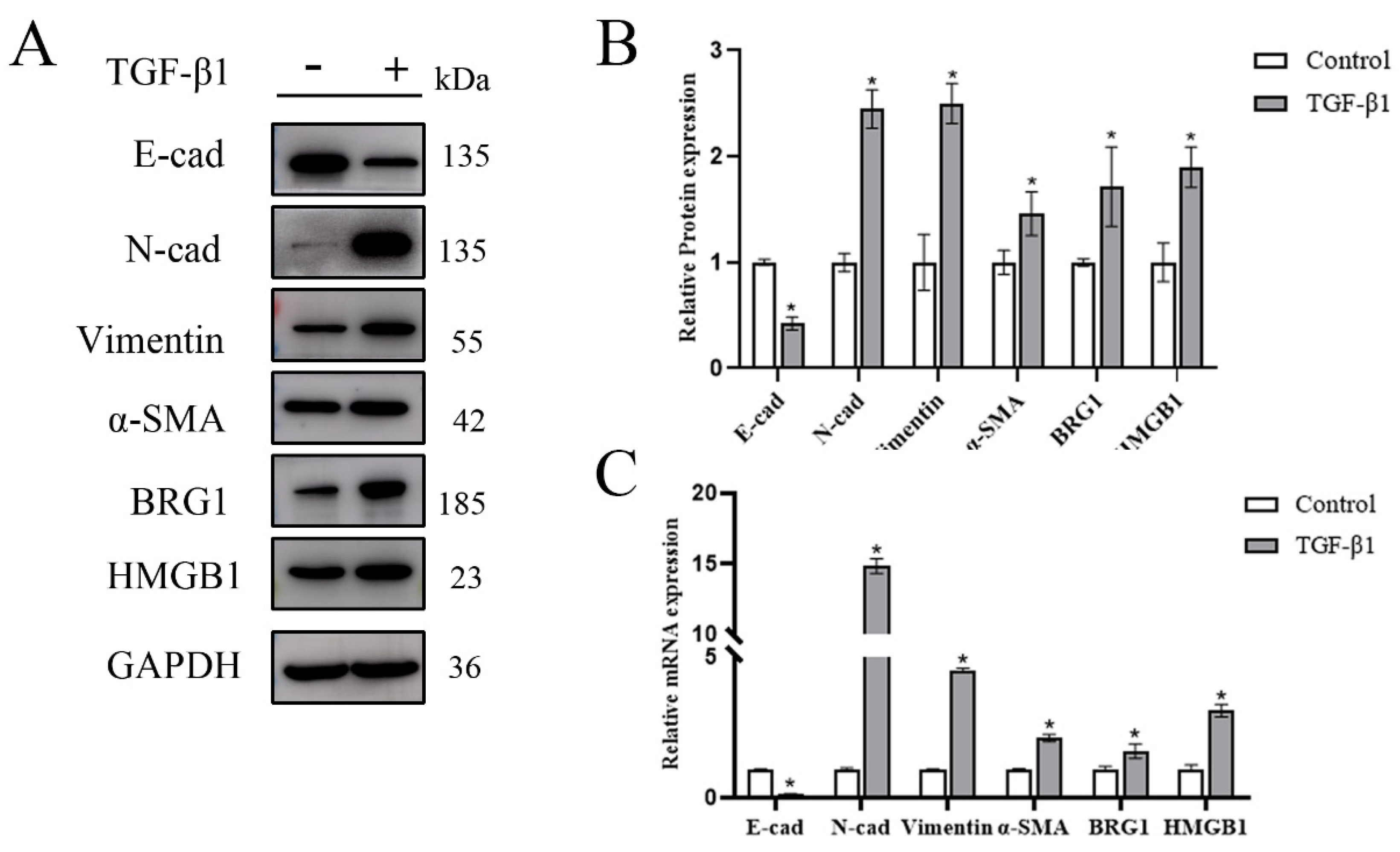 Ijerph 19 08743 g001
