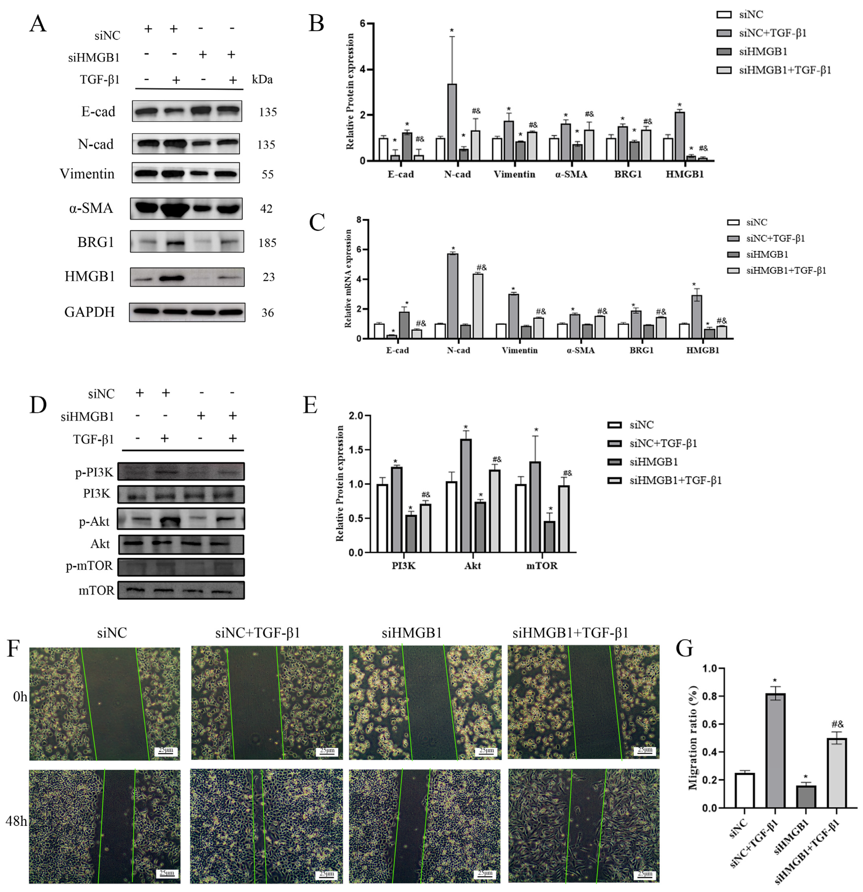 Ijerph 19 08743 g002