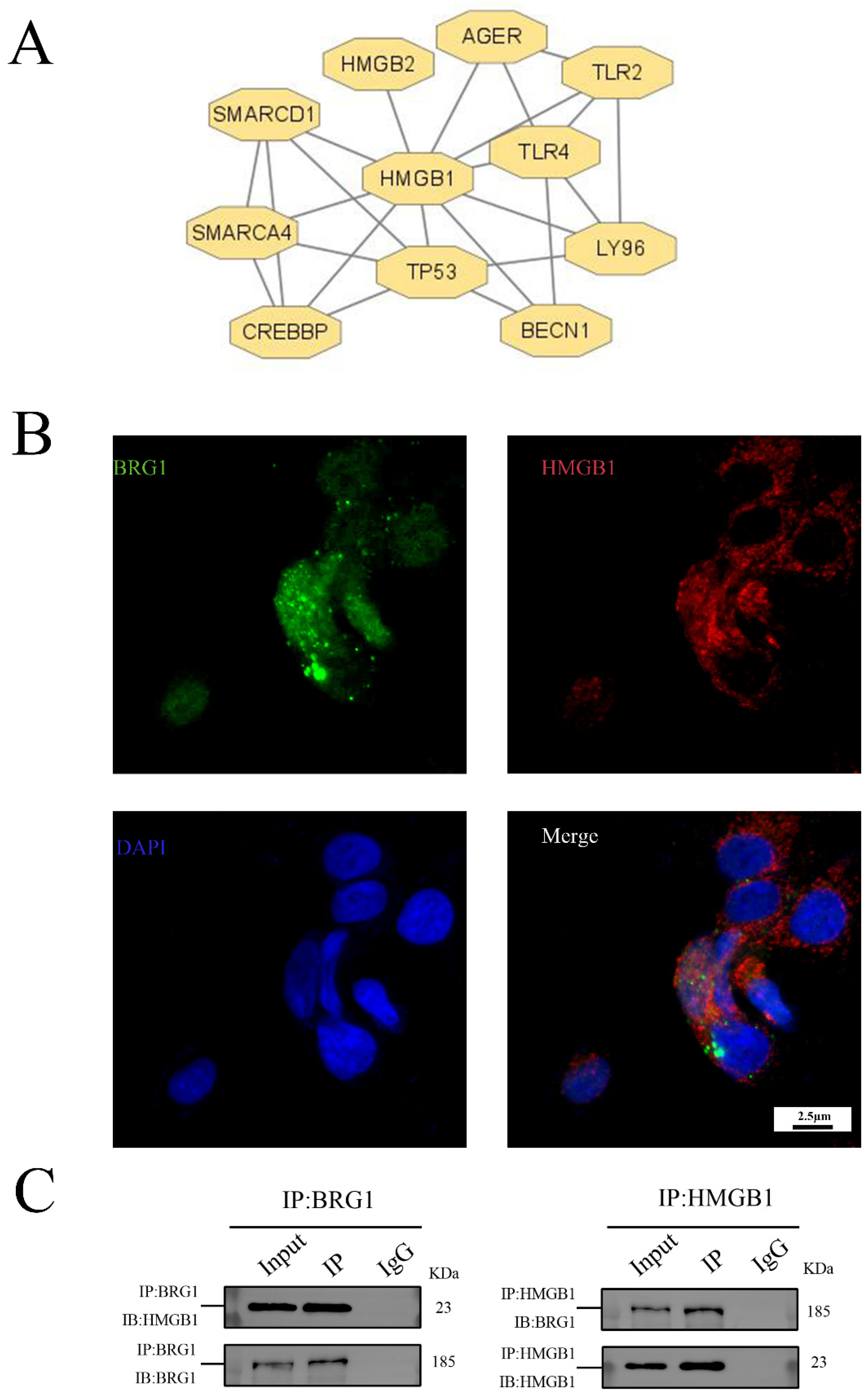 Ijerph 19 08743 g003