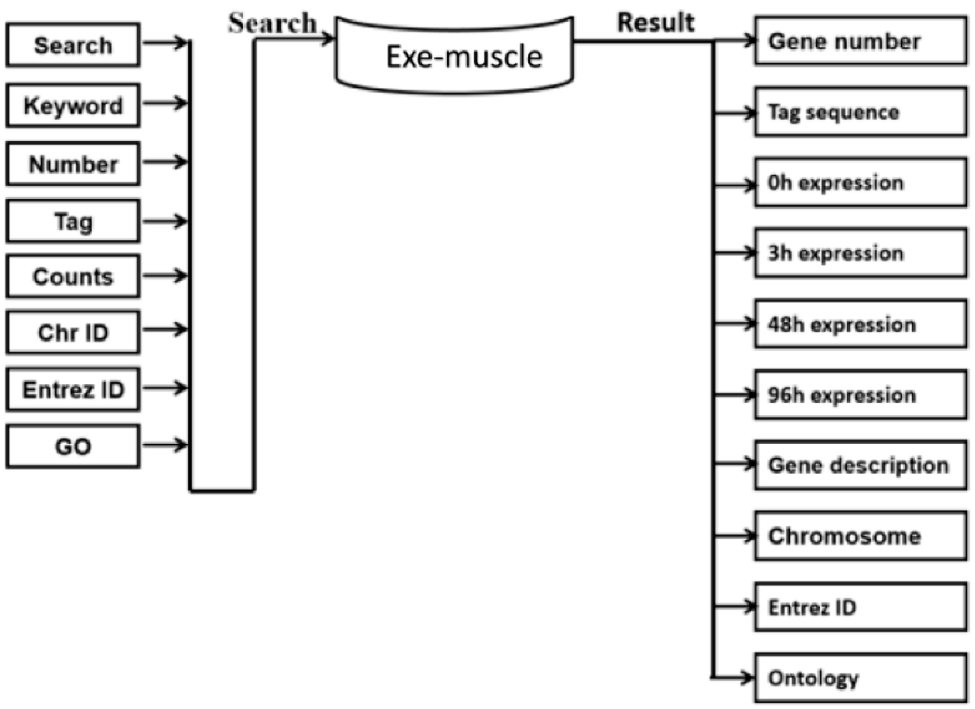 Ijerph 19 08806 g001