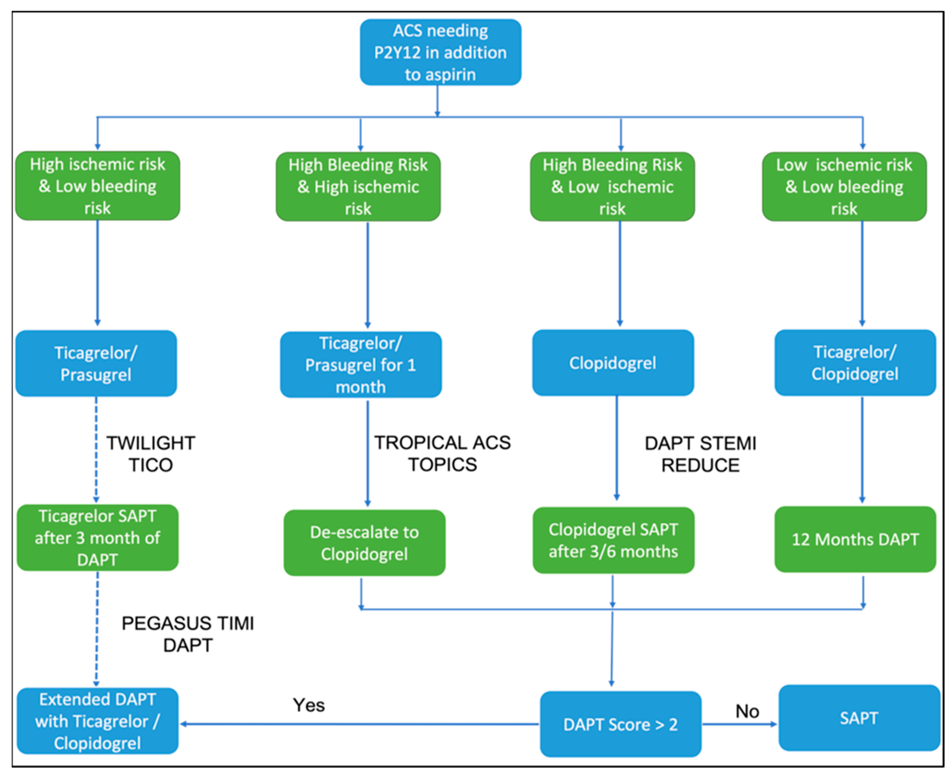 Where Do Potent P2Y12 Inhibitors Fit Into Current Practice? - Acute  Coronary Syndrome (ACS)