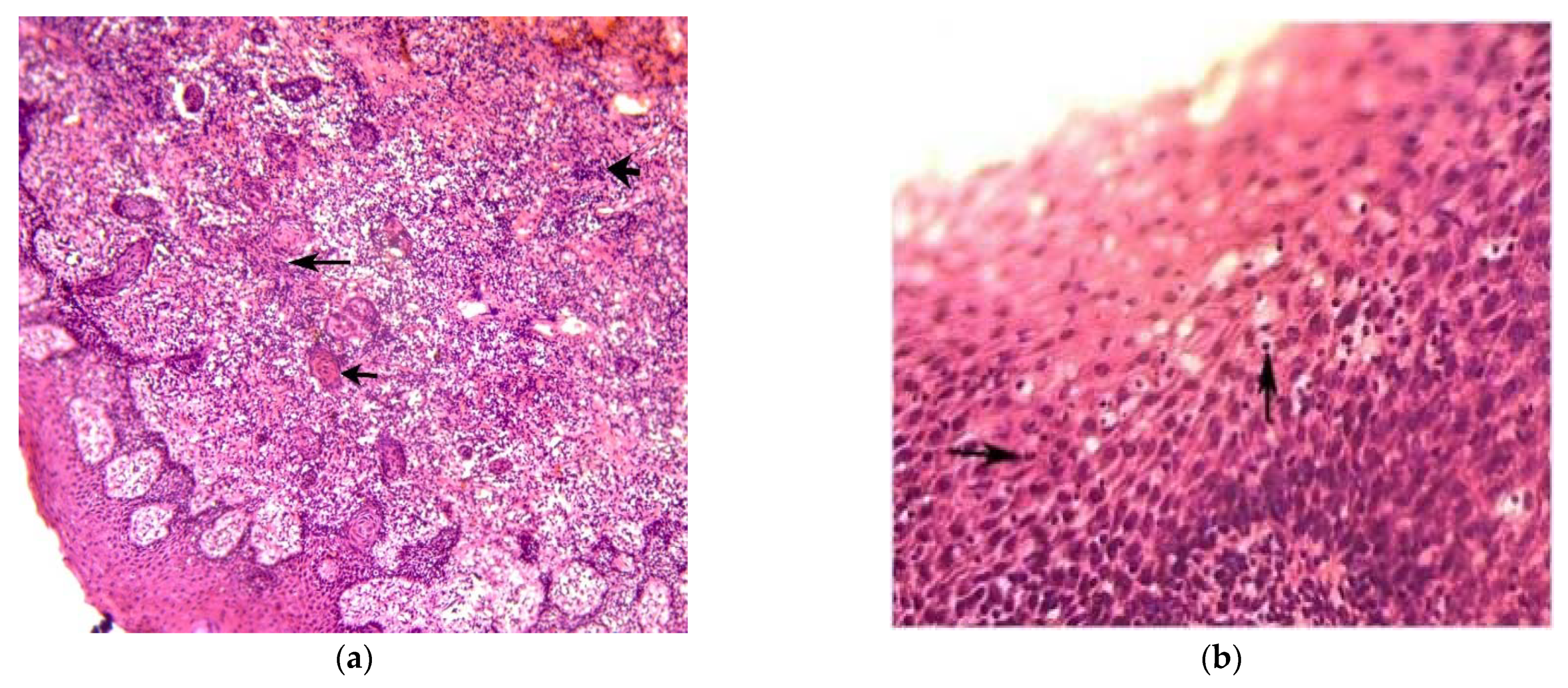 Ijerph 19 09003 g002a Ijerph 19 09003 g002a