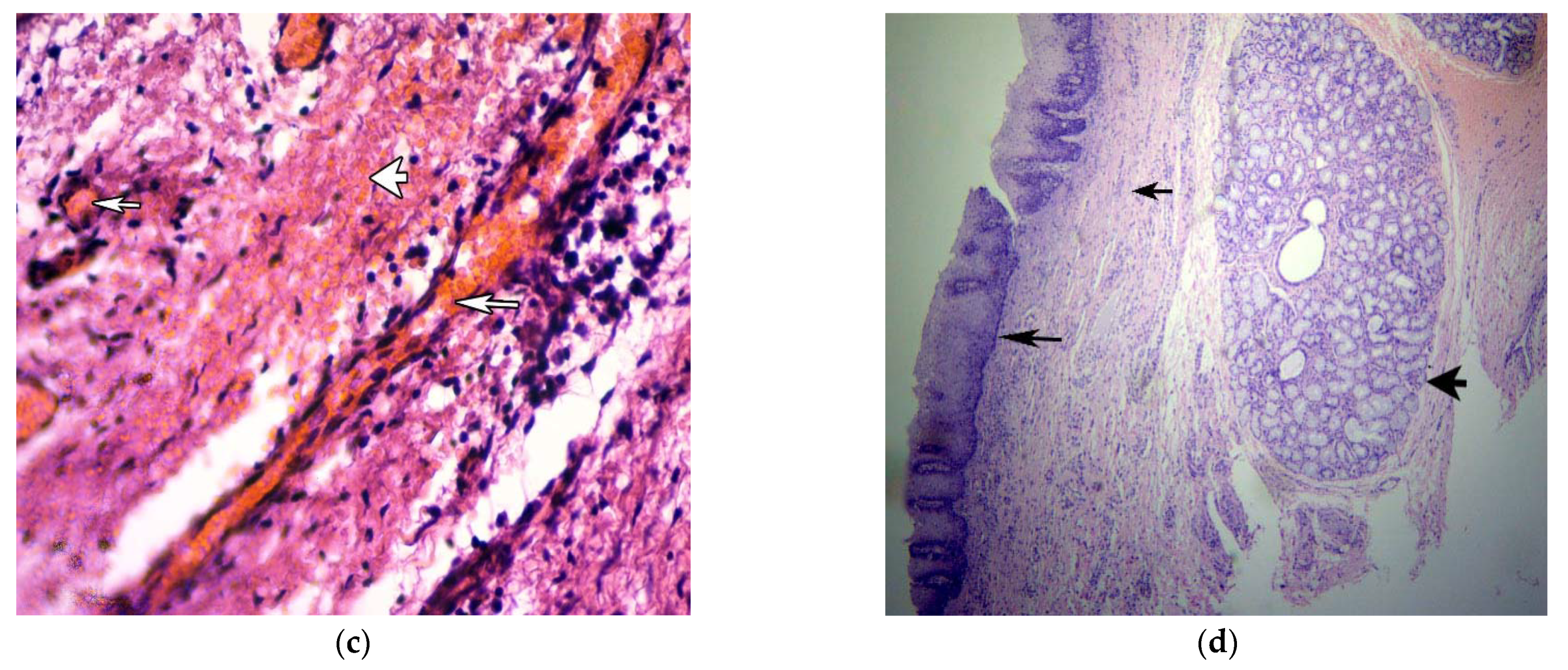 Ijerph 19 09003 g002b Ijerph 19 09003 g002b