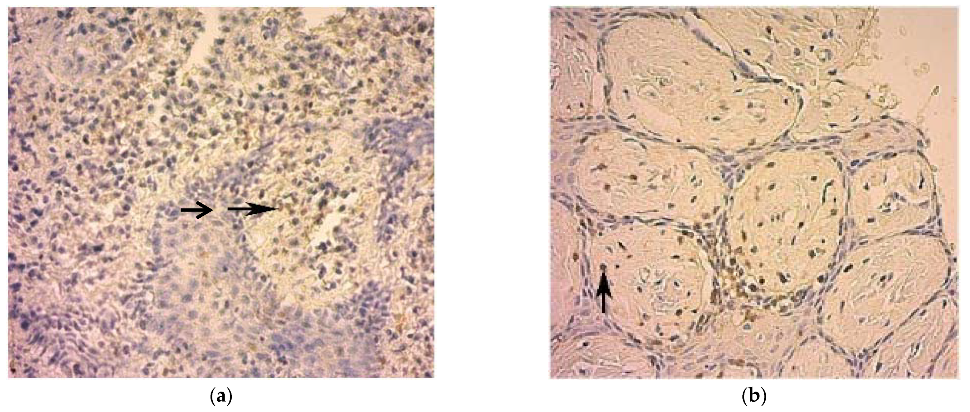 Ijerph 19 09003 g003 Ijerph 19 09003 g003