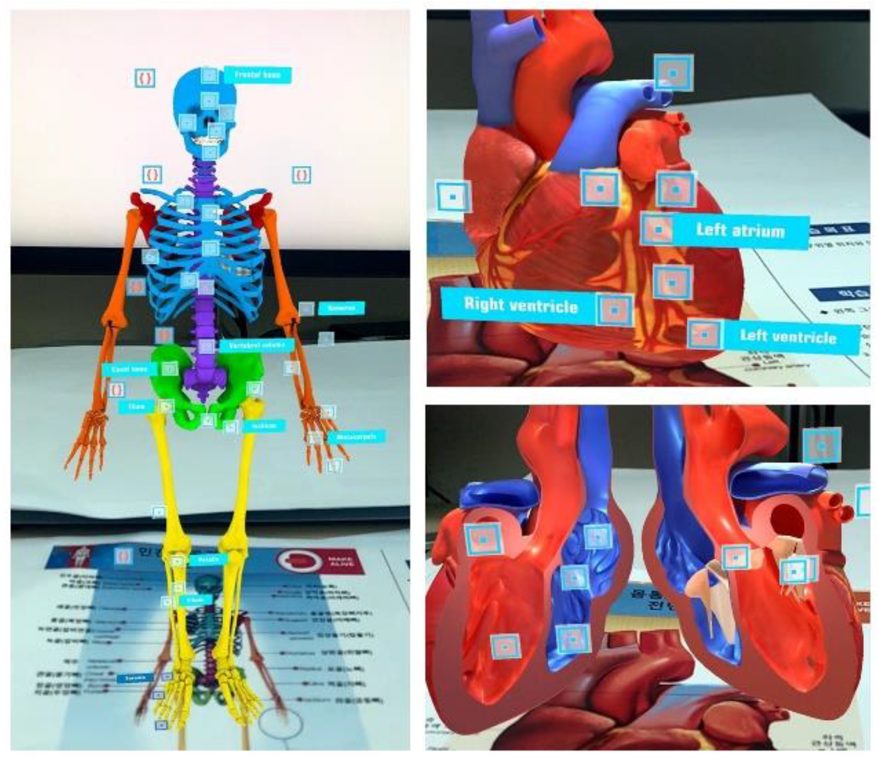 Ijerph 19 09058 g001 Ijerph 19 09058 g001