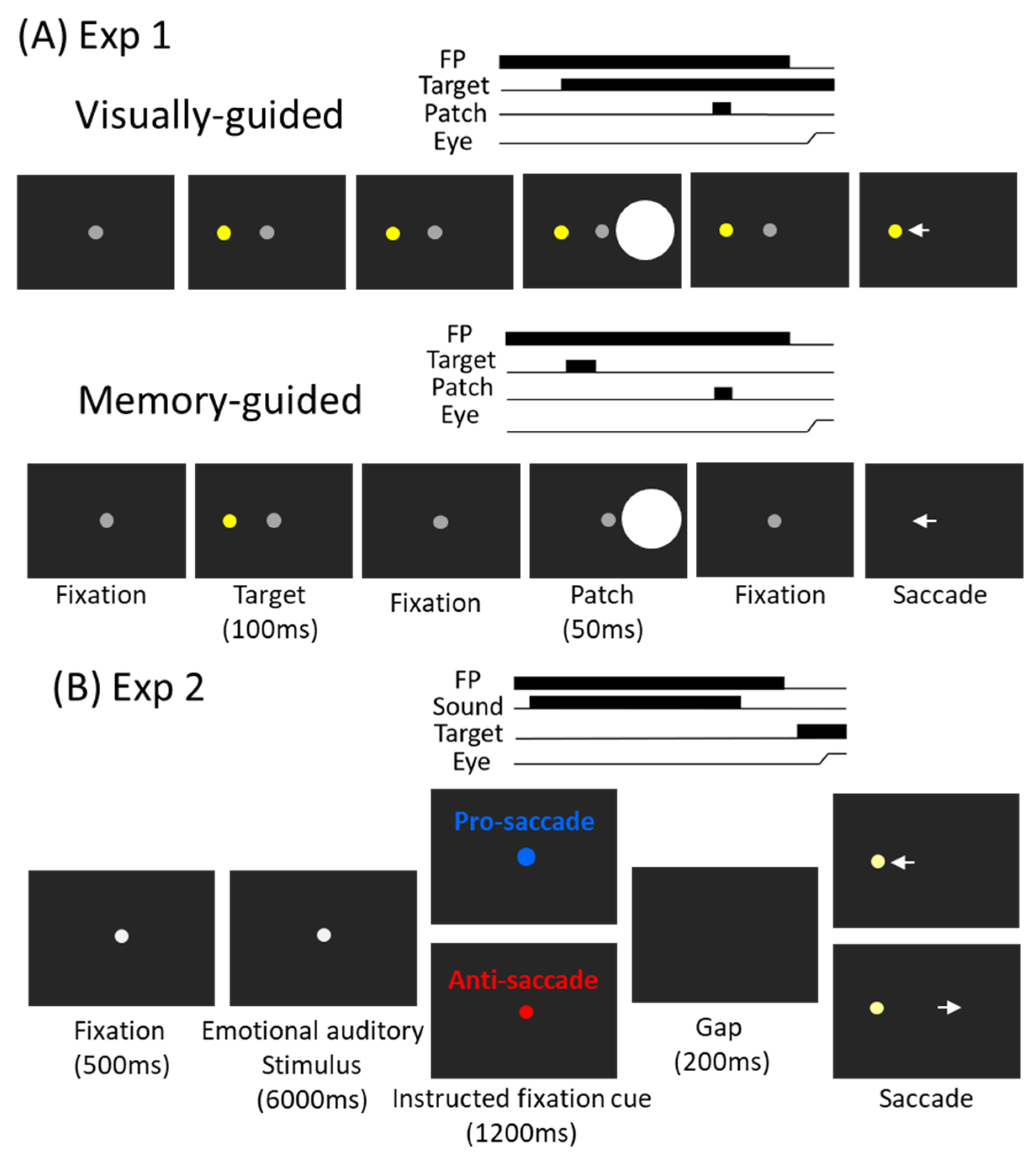 IJERPH | Free Full-Text | Fatigue and Arousal Modulations Revealed